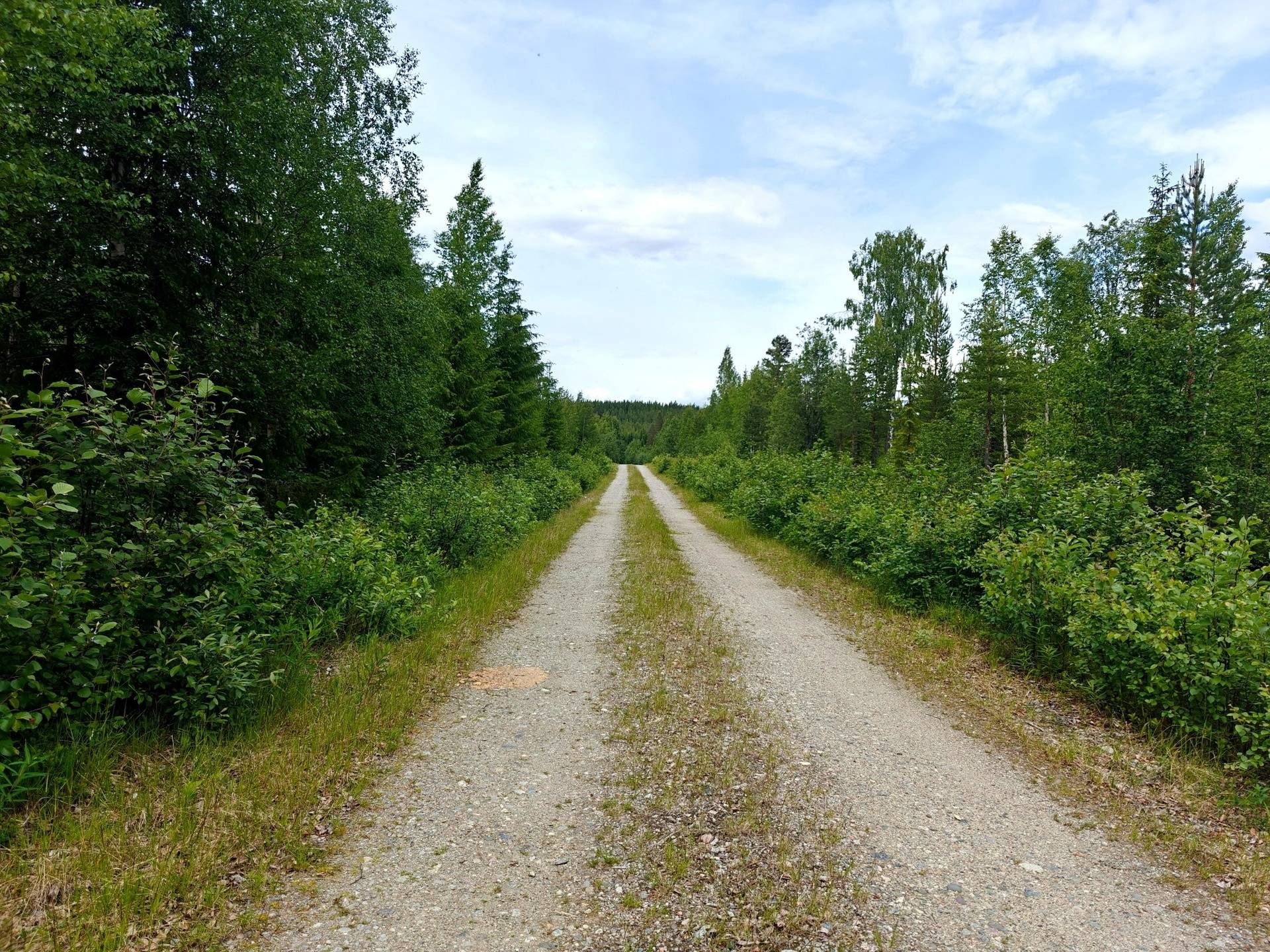 Gård/skog på SOLLEFTEÅ HÅLLA 1:14 Sollefteå kommun - bild 20