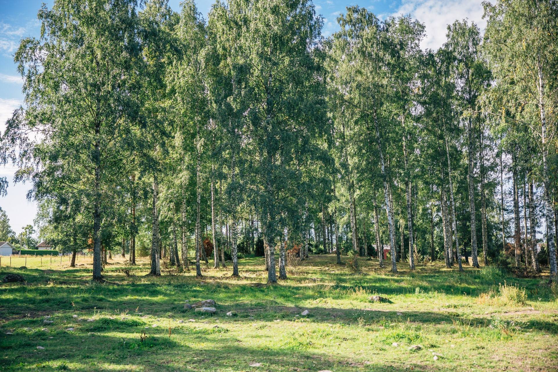4 rum Gård utan jordbruk på Borreboda Sörgården 23 Borreboda Töreboda kommun - bild 19