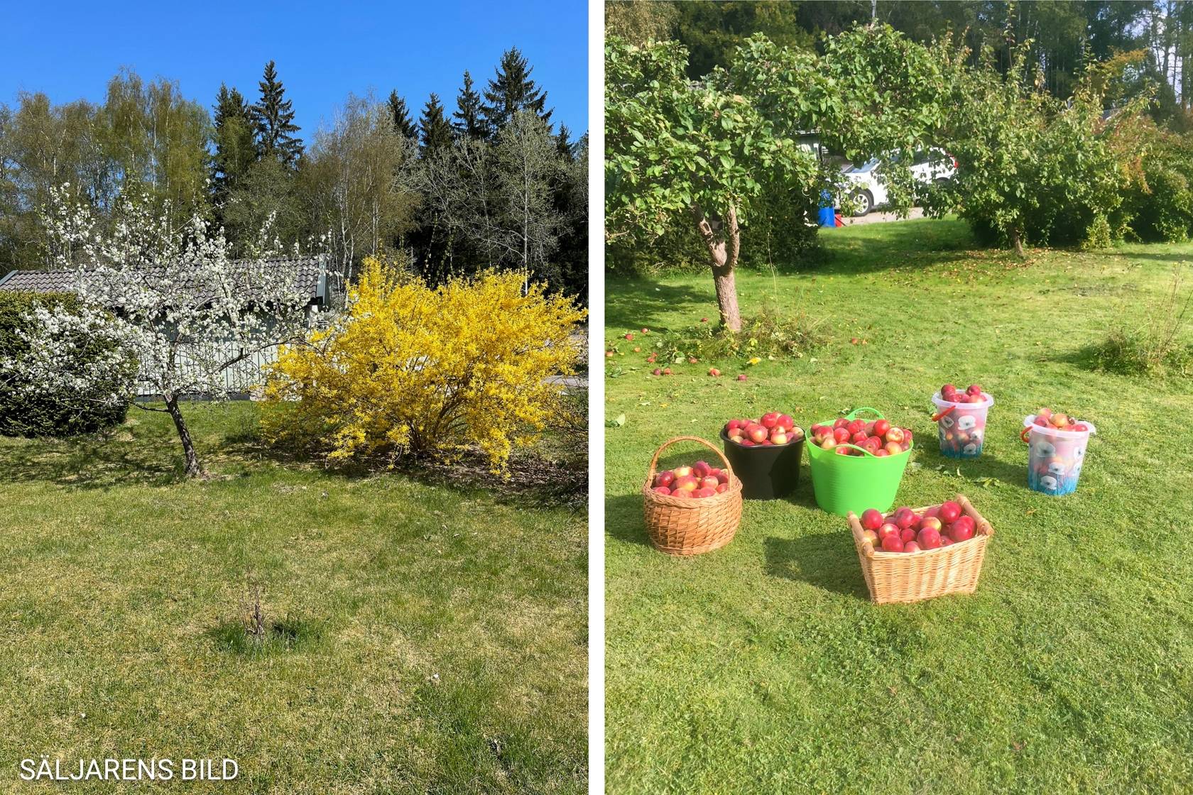 4 rum Fritidshus på Rörsångarvägen 9 Skokloster - Söderskogen Håbo kommun - bild 29
