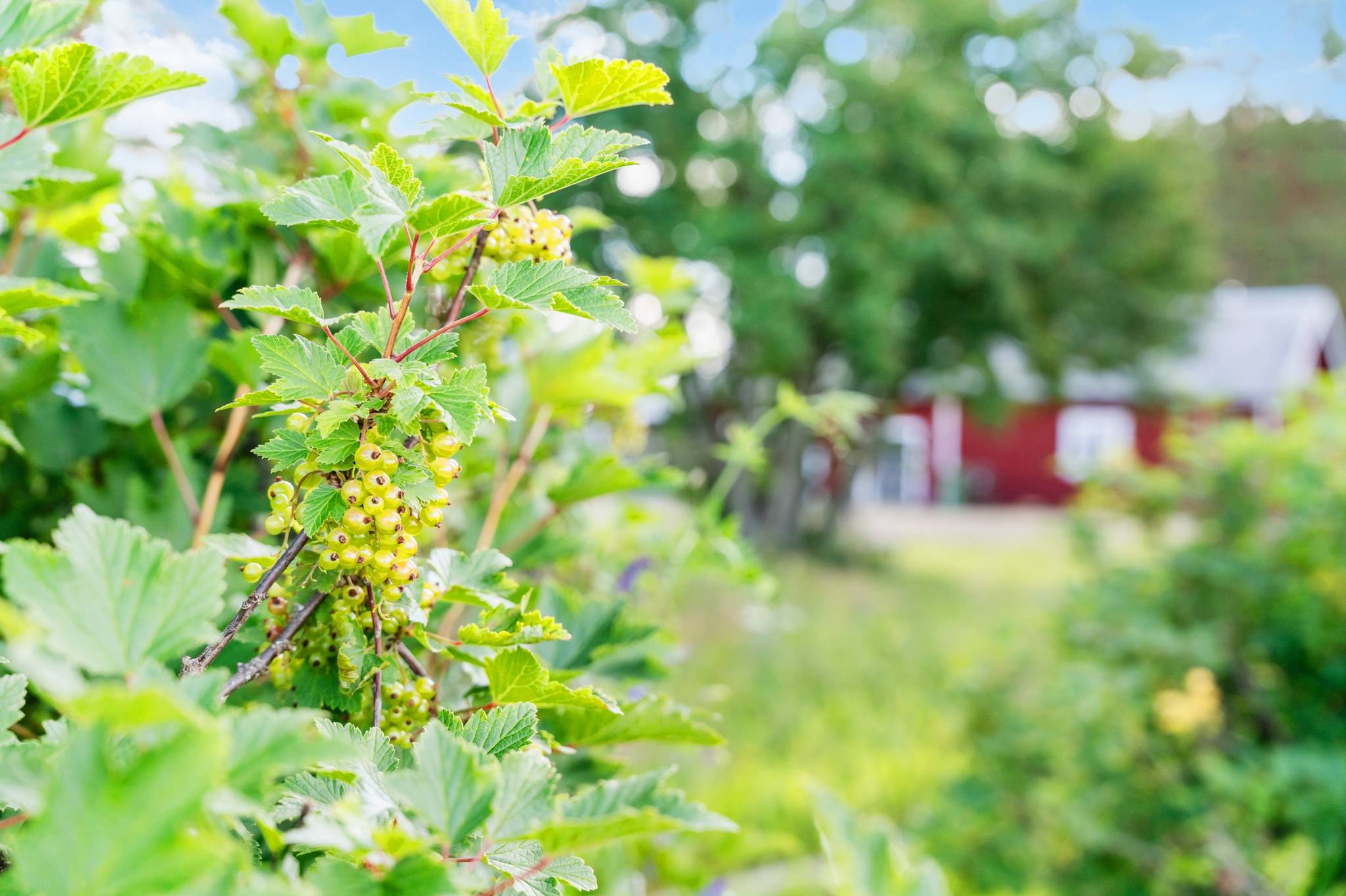 3 rum Villa på Fagerlund 3 Vännäs kommun - bild 38