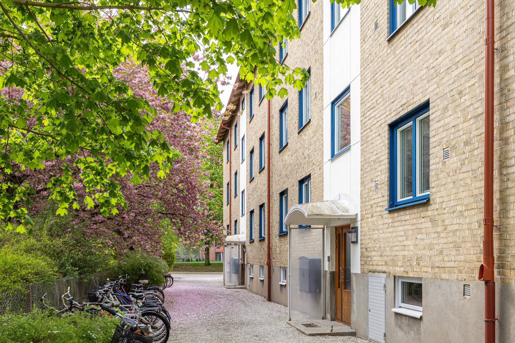 3 rum Lägenhet på Revingegatan 13B Lund - Centrum Lunds kommun - bild 31