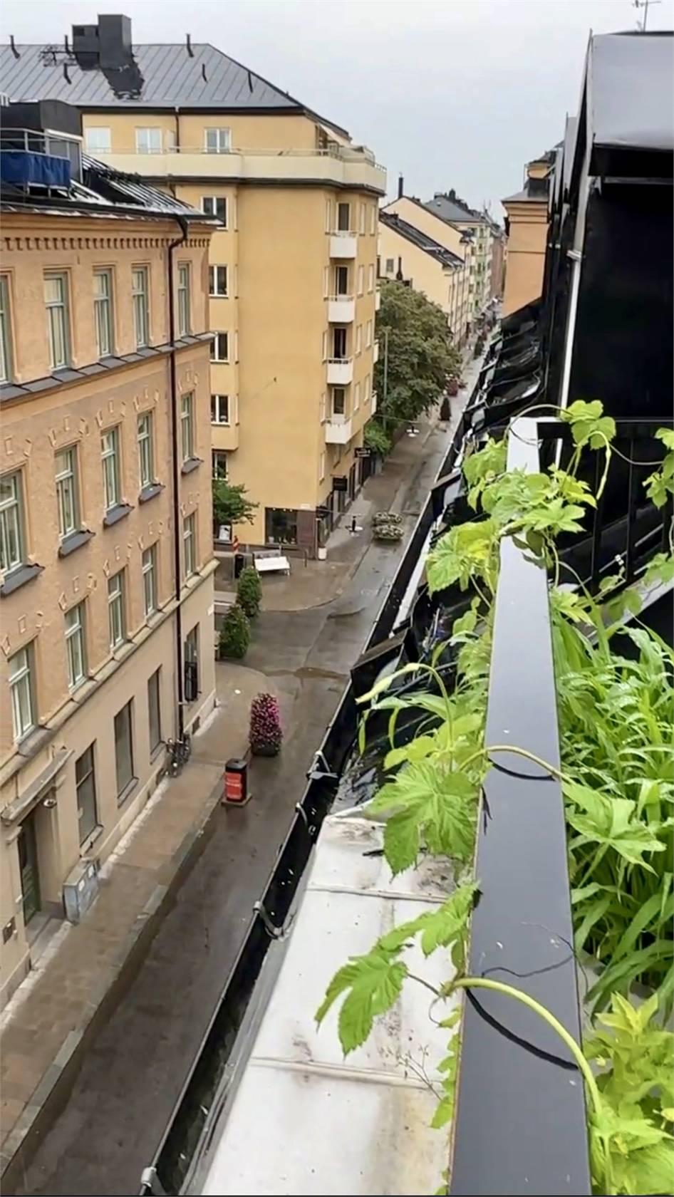 2 rum Lägenhet på Södermannagatan 8, 4 tr Katarina Stockholms kommun - bild 15
