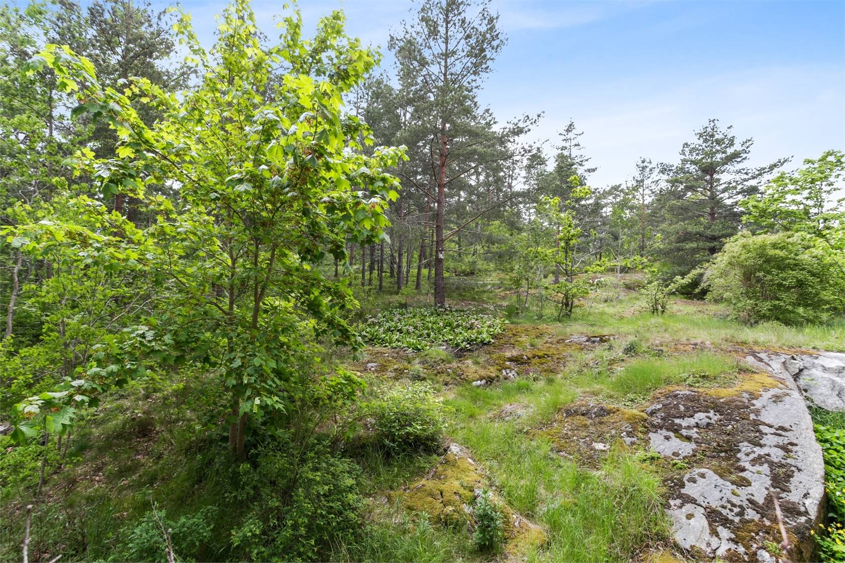1.5 rum Lägenhet på Björnvägen 14 Torsvik/ Herserud Lidingö kommun - bild 22