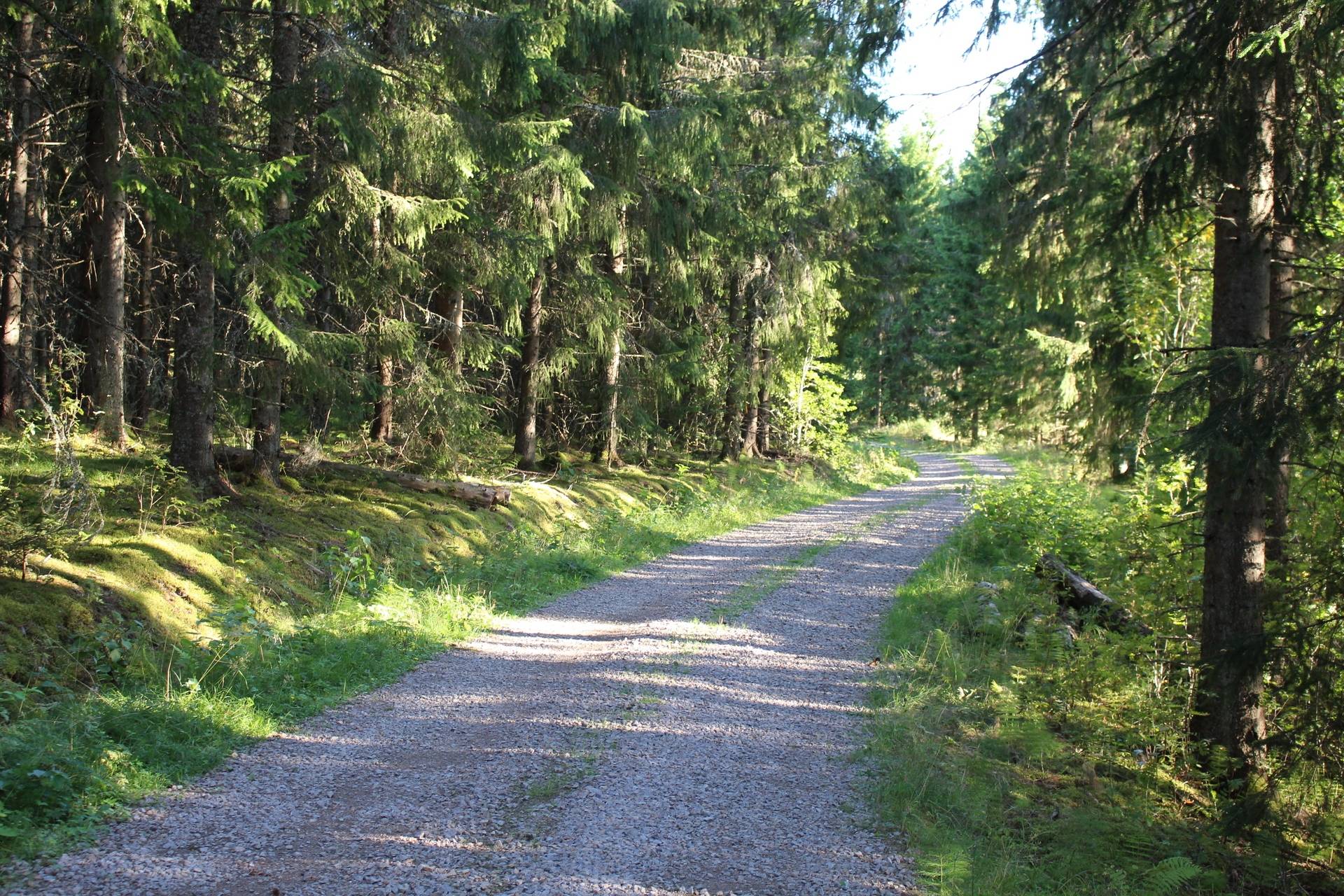 Gård med jordbruk på Butorp Forshaga kommun - bild 6