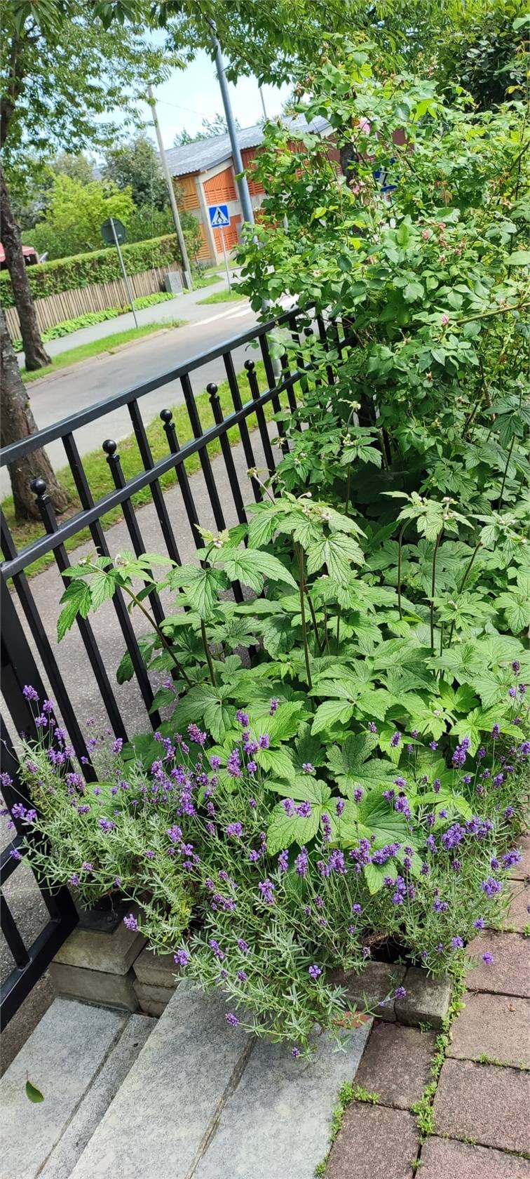 5 rum Kedjehus på Silkeborgsgatan 8 Kista Stockholms kommun - bild 32