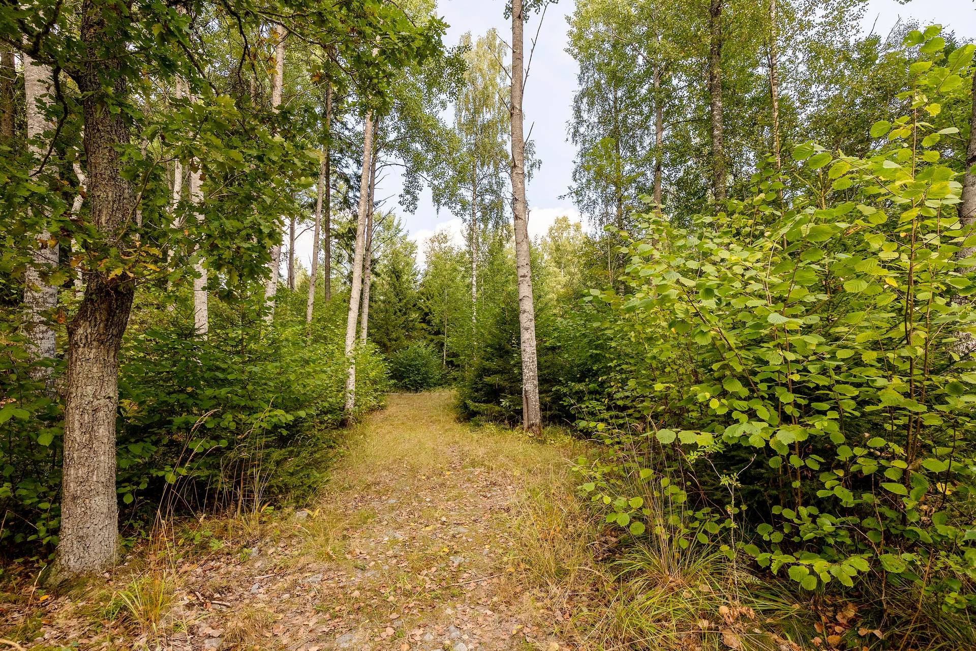 190 m² Gård med jordbruk på Djupviksängen Askersunds kommun - bild 4