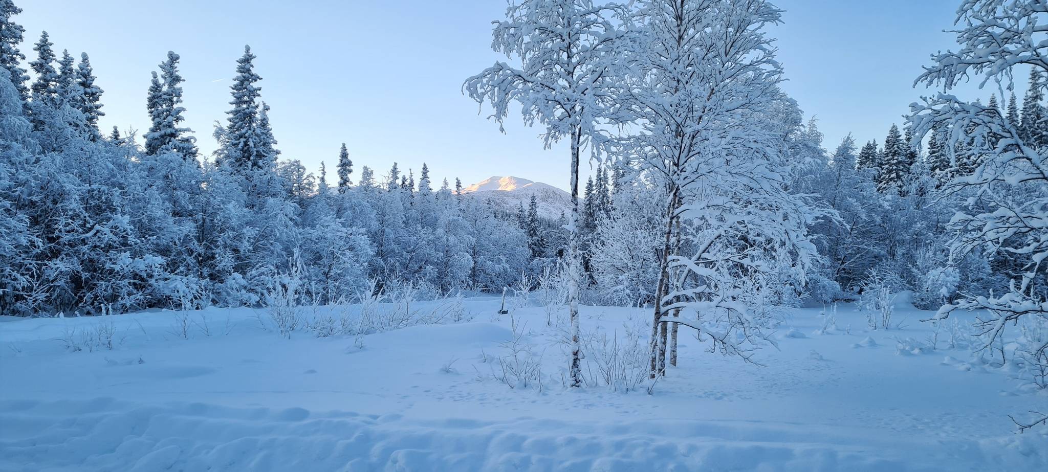 4 rum Vinterbonat fritidshus på Odlingsvägen 18 Kittelfjäll Vilhelmina kommun - bild 12