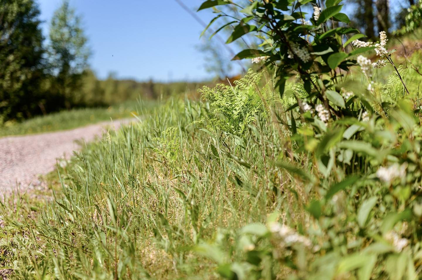 3 rum Gård utan jordbruk på Ingarvshyttan 40 Stora Skedvi Säters kommun - bild 12