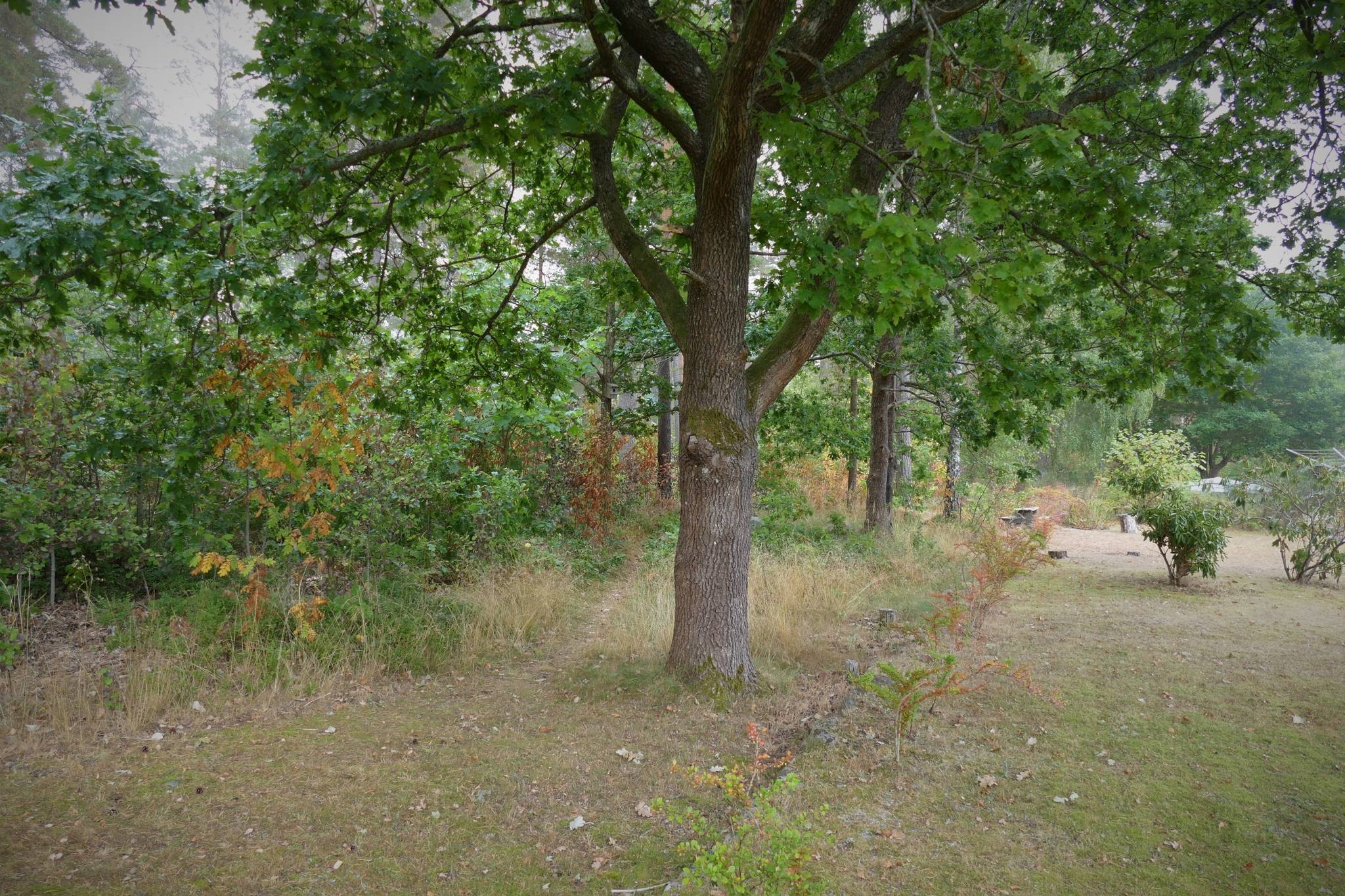 5 rum Villa på Rönnstigen 8 Tingsryds kommun - bild 12