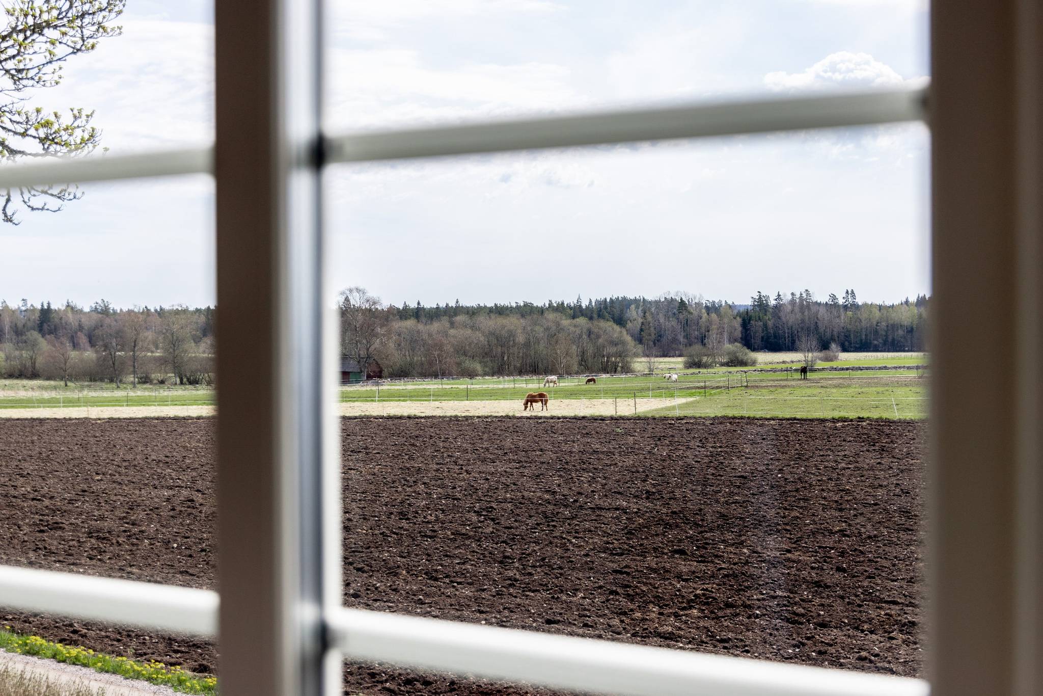 5 rum Villa på Härlöv Ringagård 2 Härlöv Alvesta kommun - bild 41