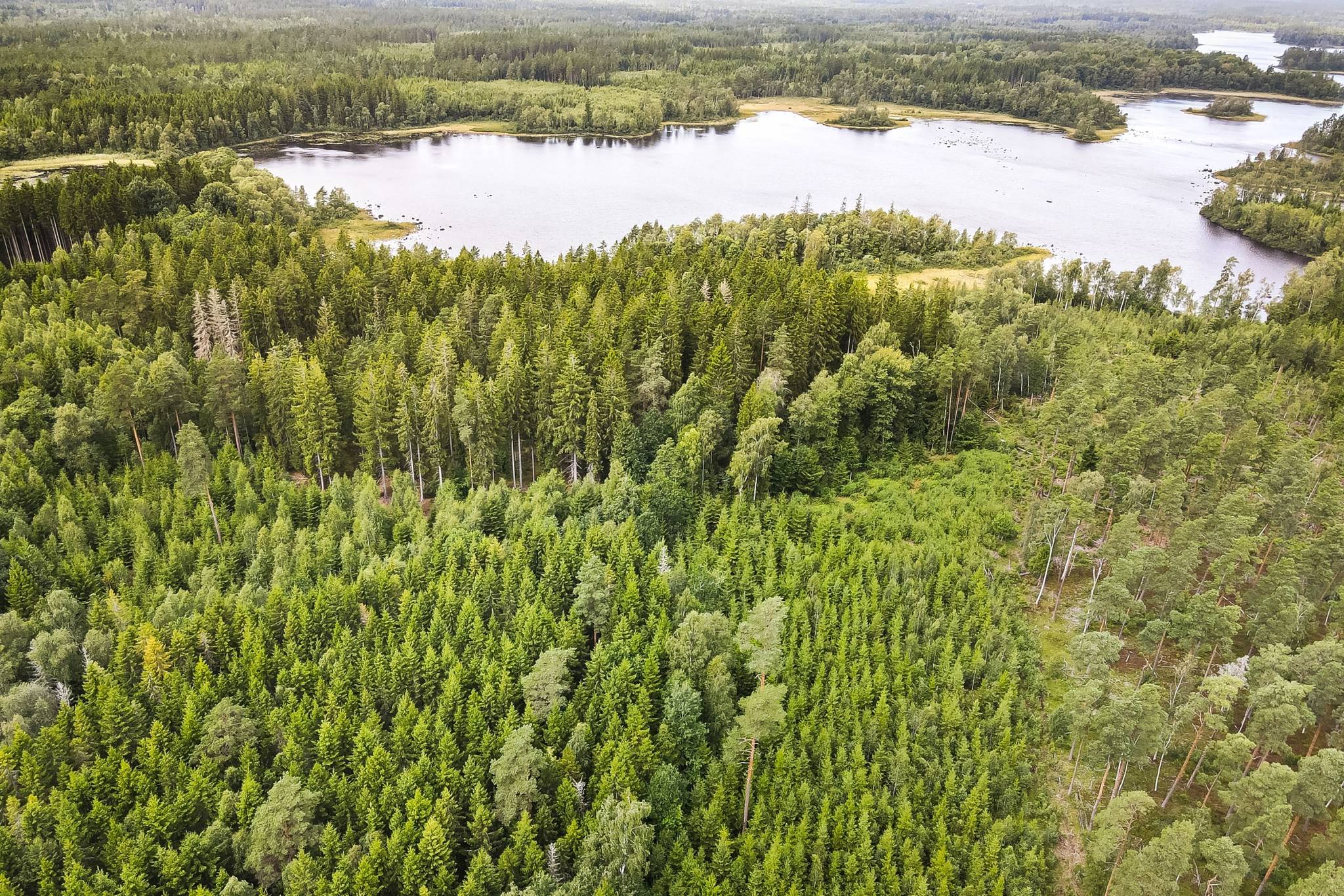 70 m² Gård med jordbruk på Buskahult 132 Holmsjö Karlskrona kommun - bild 17