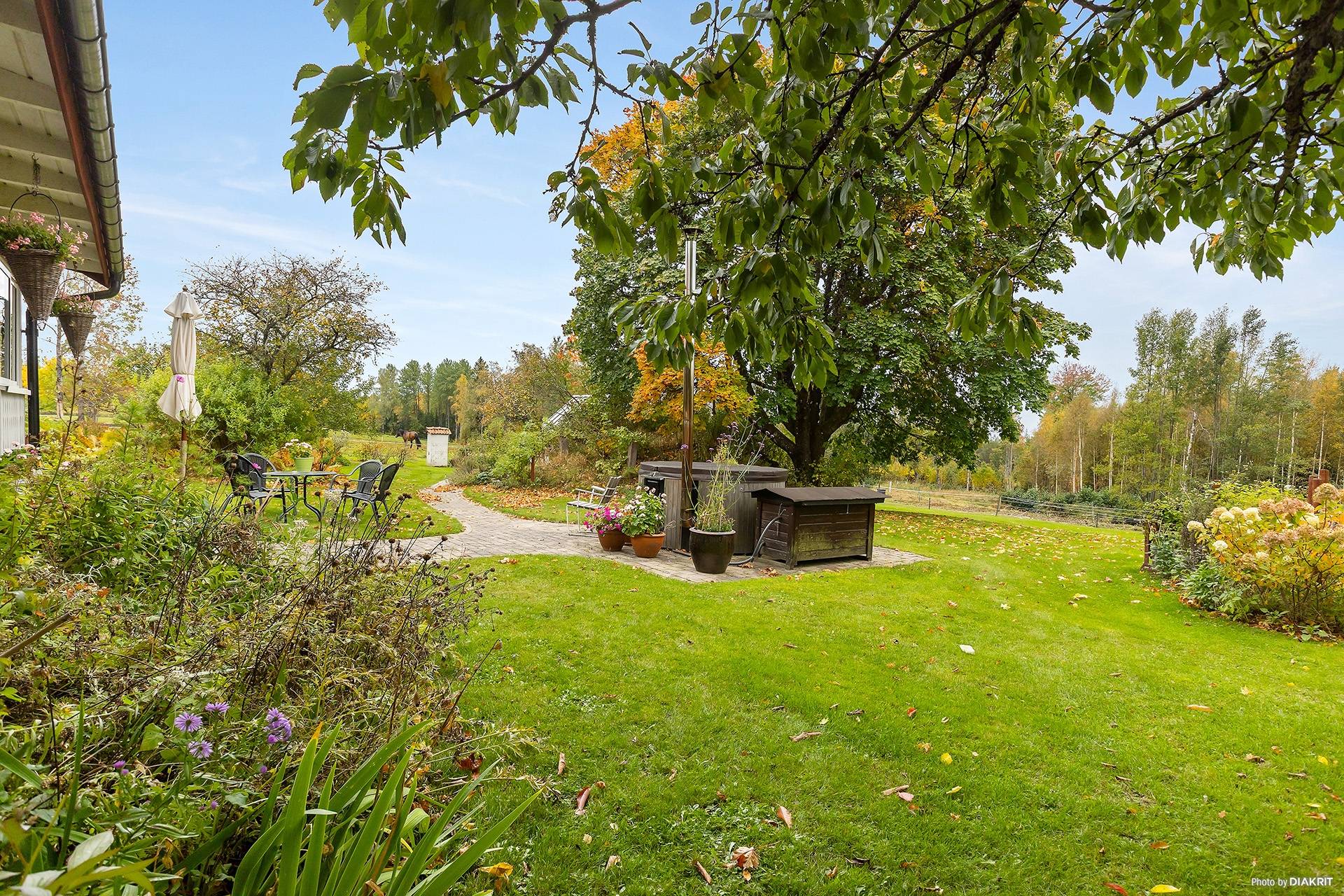 5 rum Gård/skog på Söråsen 1 Laxå kommun - bild 20