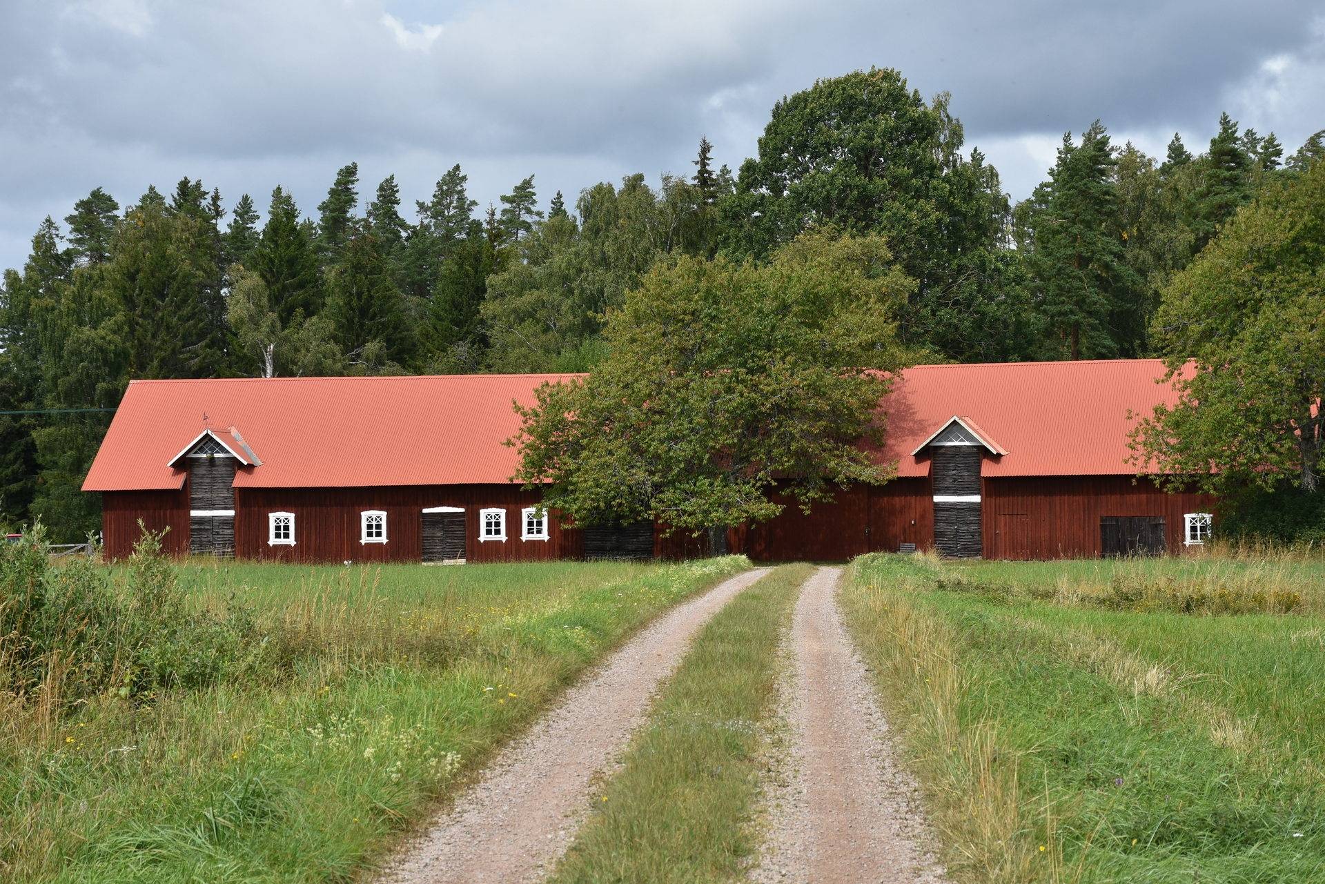 Gård med skogsbruk på Asby Släna 1 Dädesjö Växjö kommun - bild 11