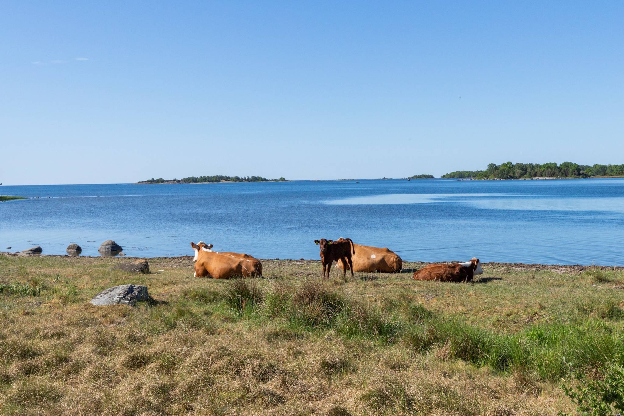 5 rum Villa på Vagnövägen 10 Listerby Ronneby kommun - bild 26