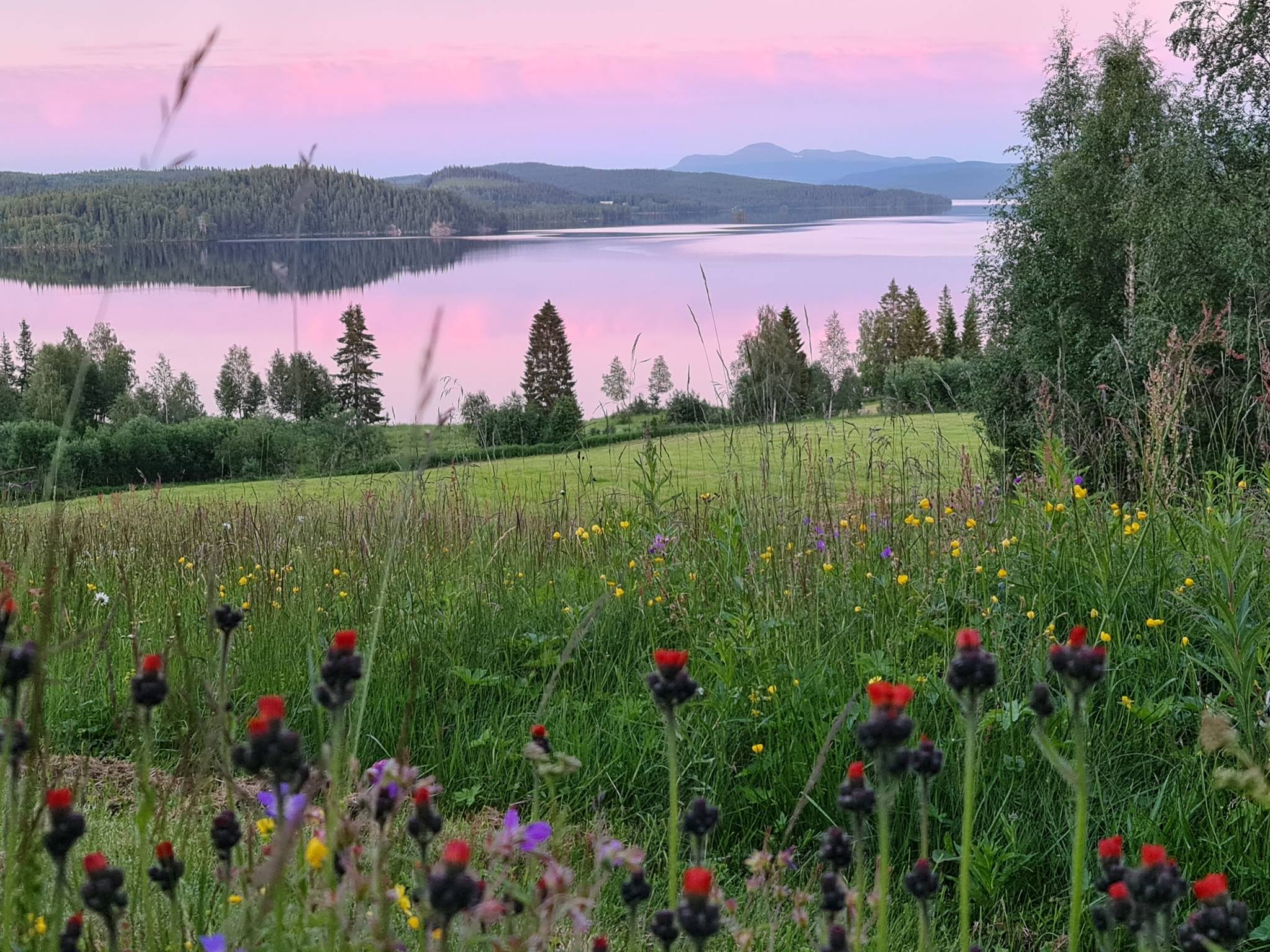 3 rum Villa på Framnäs 155 Gäddede Strömsunds kommun - bild 20