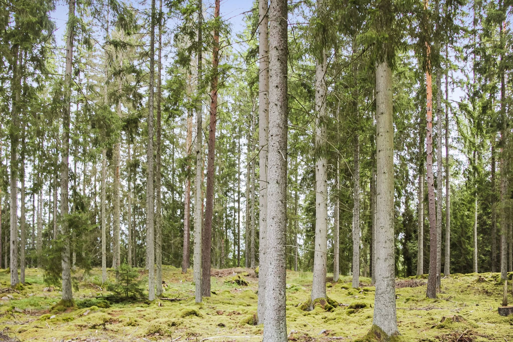 70 m² Gård med jordbruk på Buskahult 132 Holmsjö Karlskrona kommun - bild 18