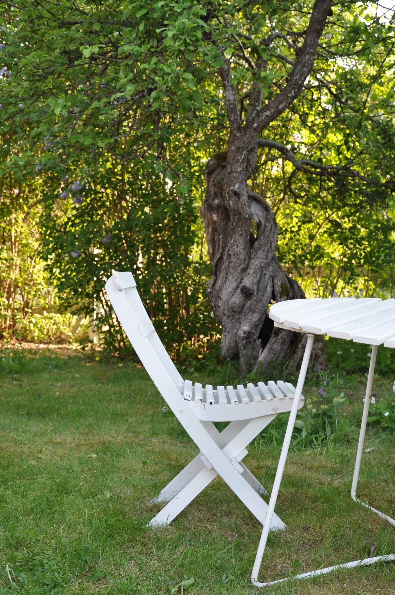 3 rum Fritidshus på Vallby Hornö 1 Vallby Hornö. beläget i Enköpings kommun, Boglösa församling Enköpings kommun - bild 36