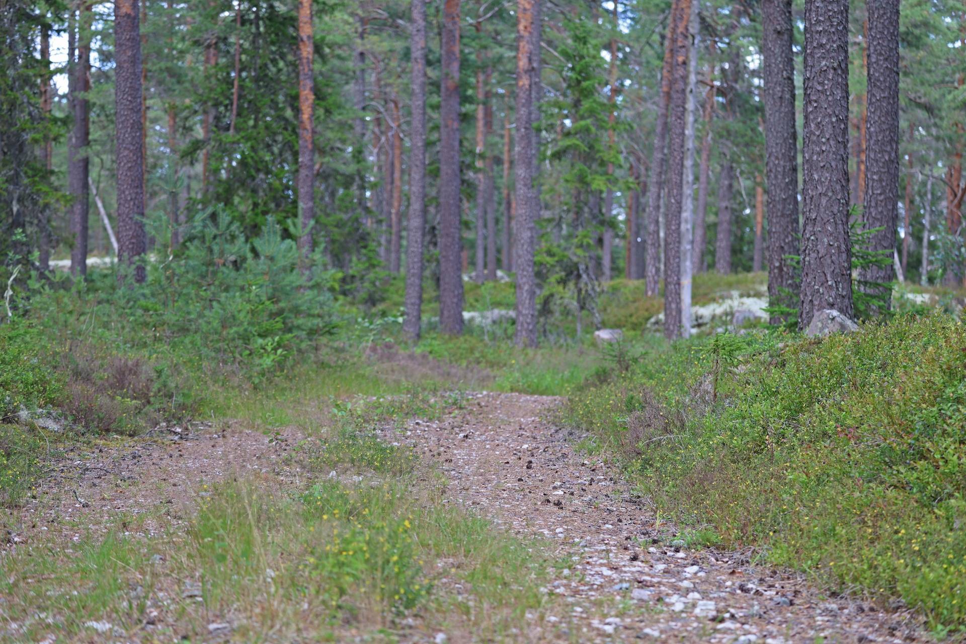 Gård/skog på Näverkärret Köpings kommun - bild 11