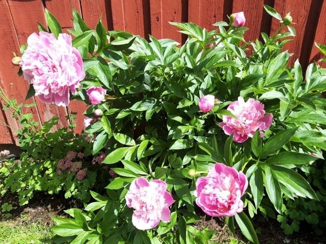 9 rum Villa på Östersjäland 166 Älandsbro Härnösands kommun - bild 55