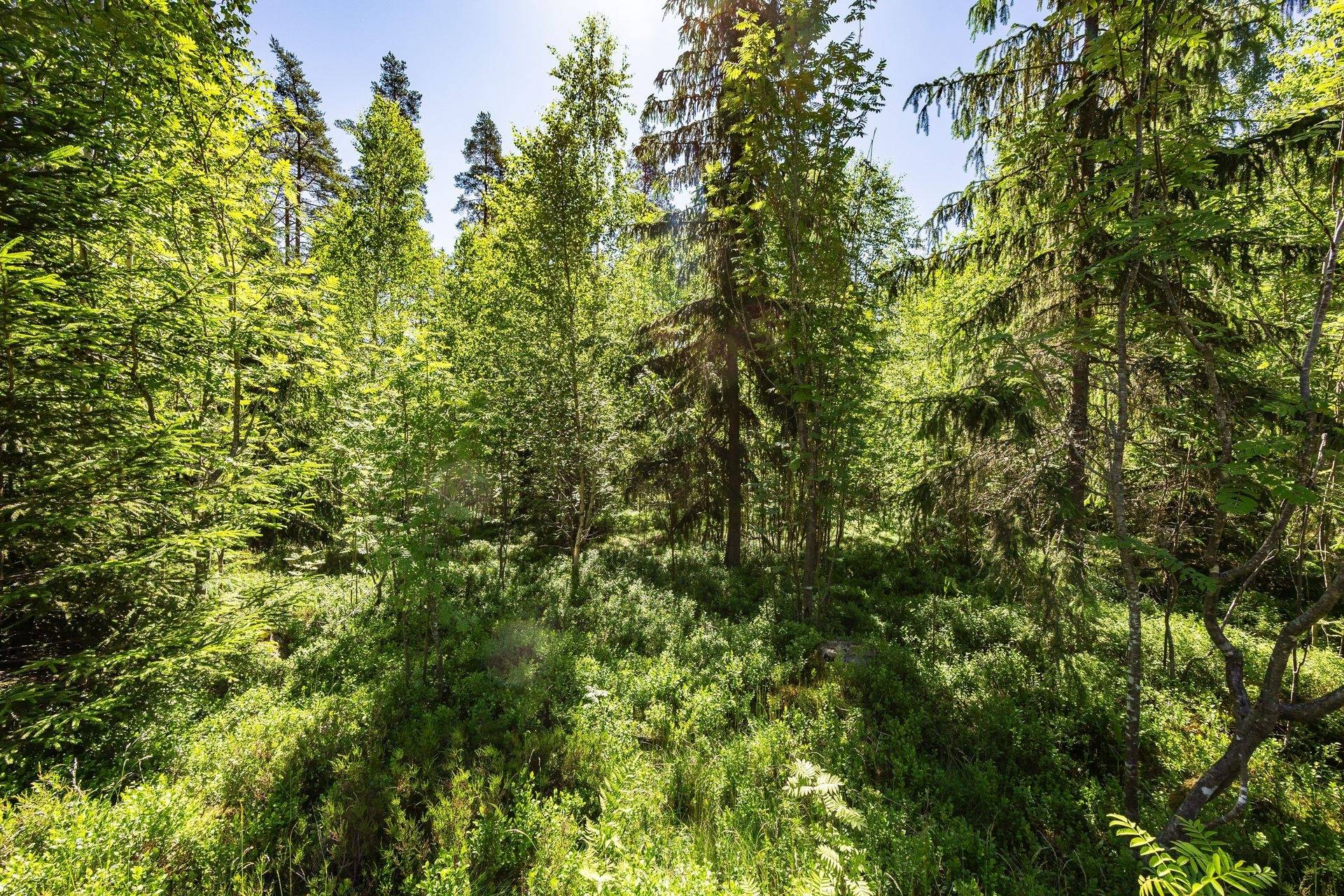 Gård med jordbruk på Krattevägen 3 Hofors kommun - bild 30