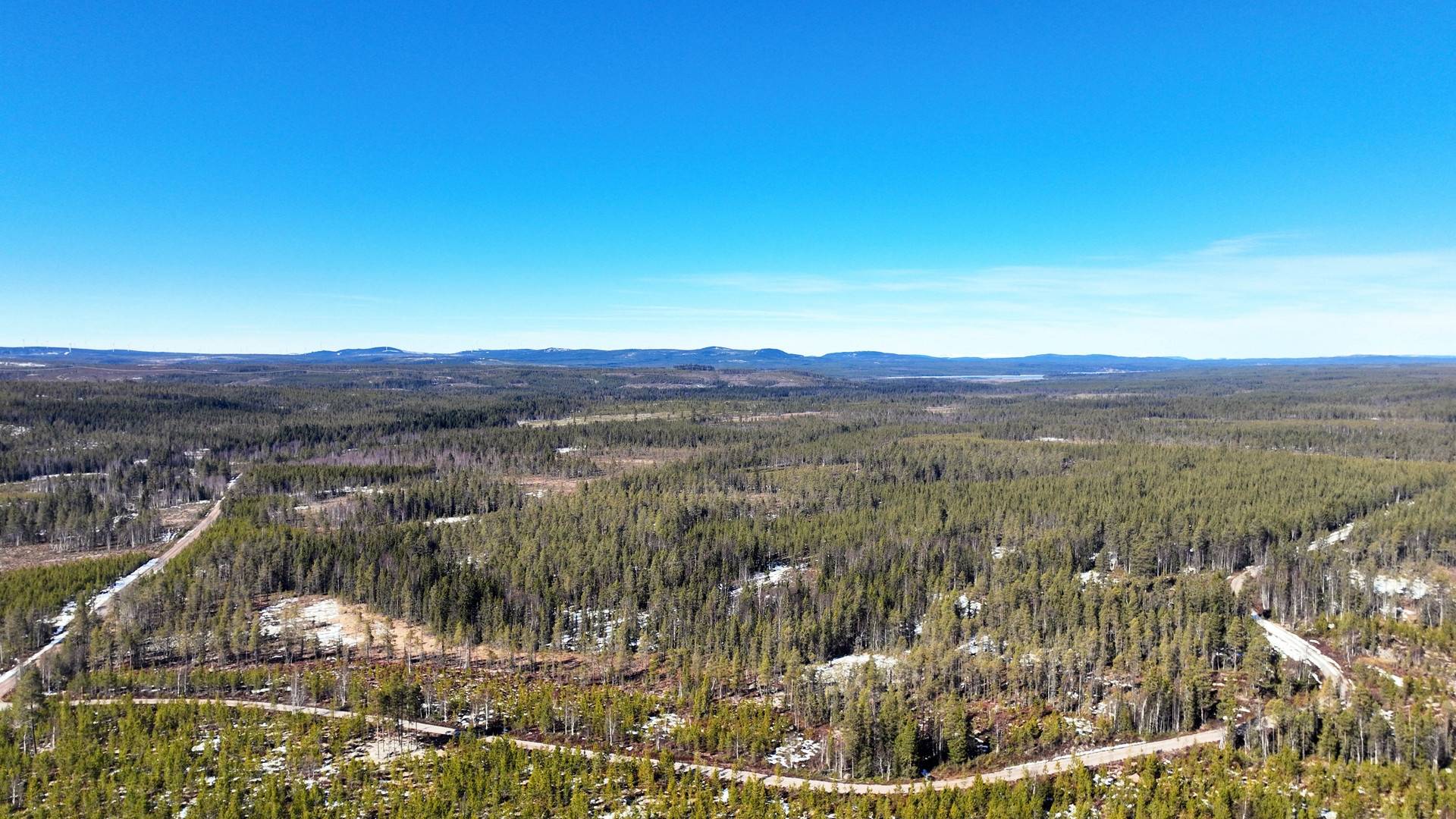 Gård med skogsbruk på ORRMO Härjedalens kommun - bild 11