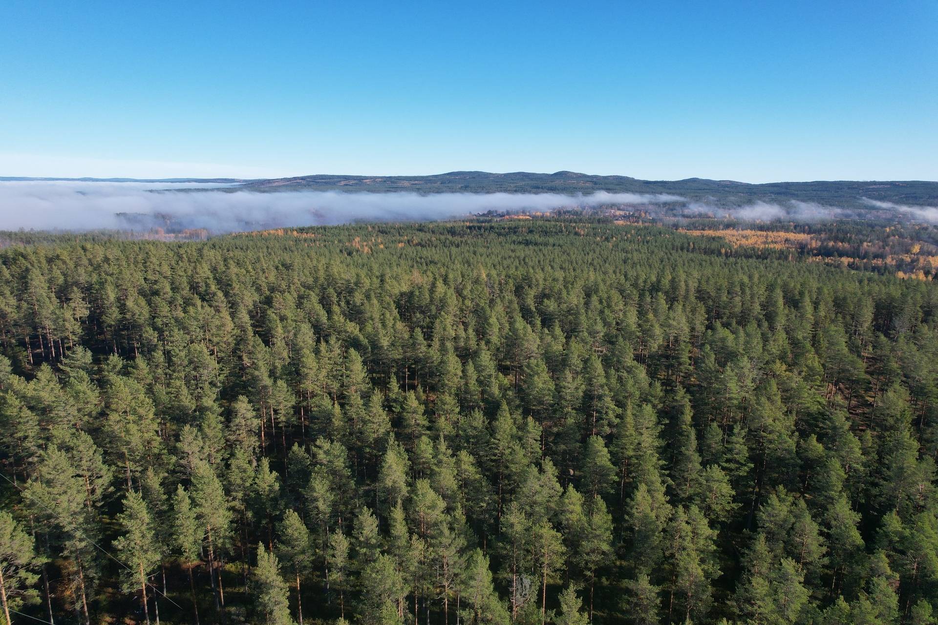 Gård med skogsbruk på Utanmyra Falu kommun - bild 24