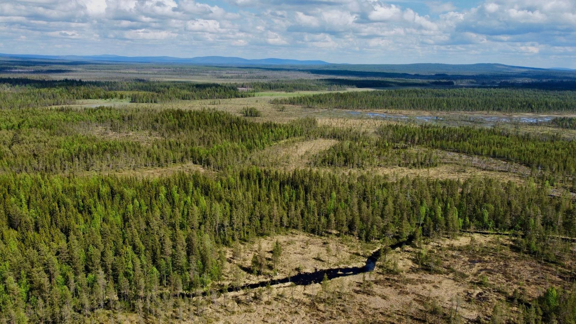 Gård med skogsbruk på Skog kring Tjärnberg Malå kommun - bild 1