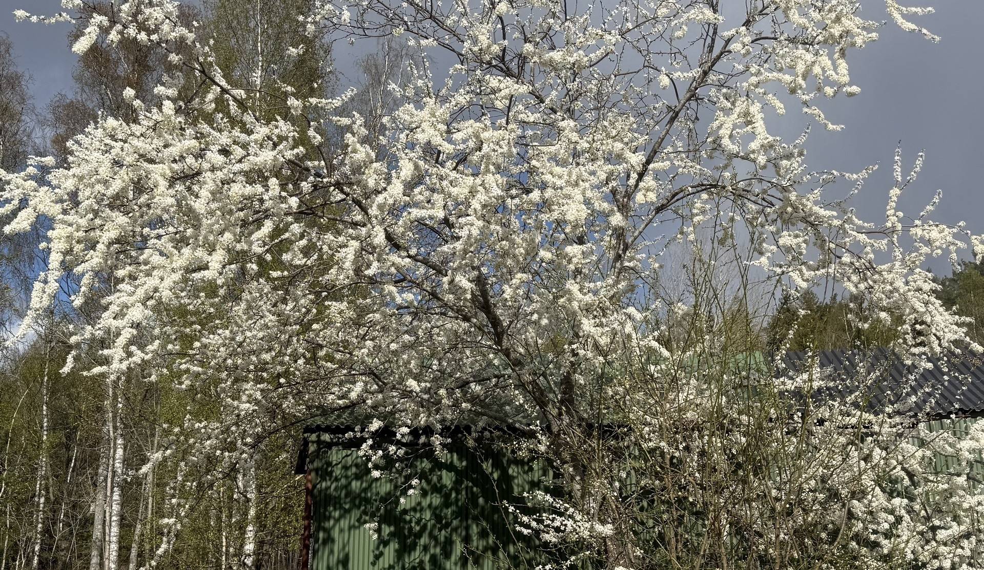 6 rum Villa på Ängtorpsvägen 5 Katrineholms kommun - bild 38