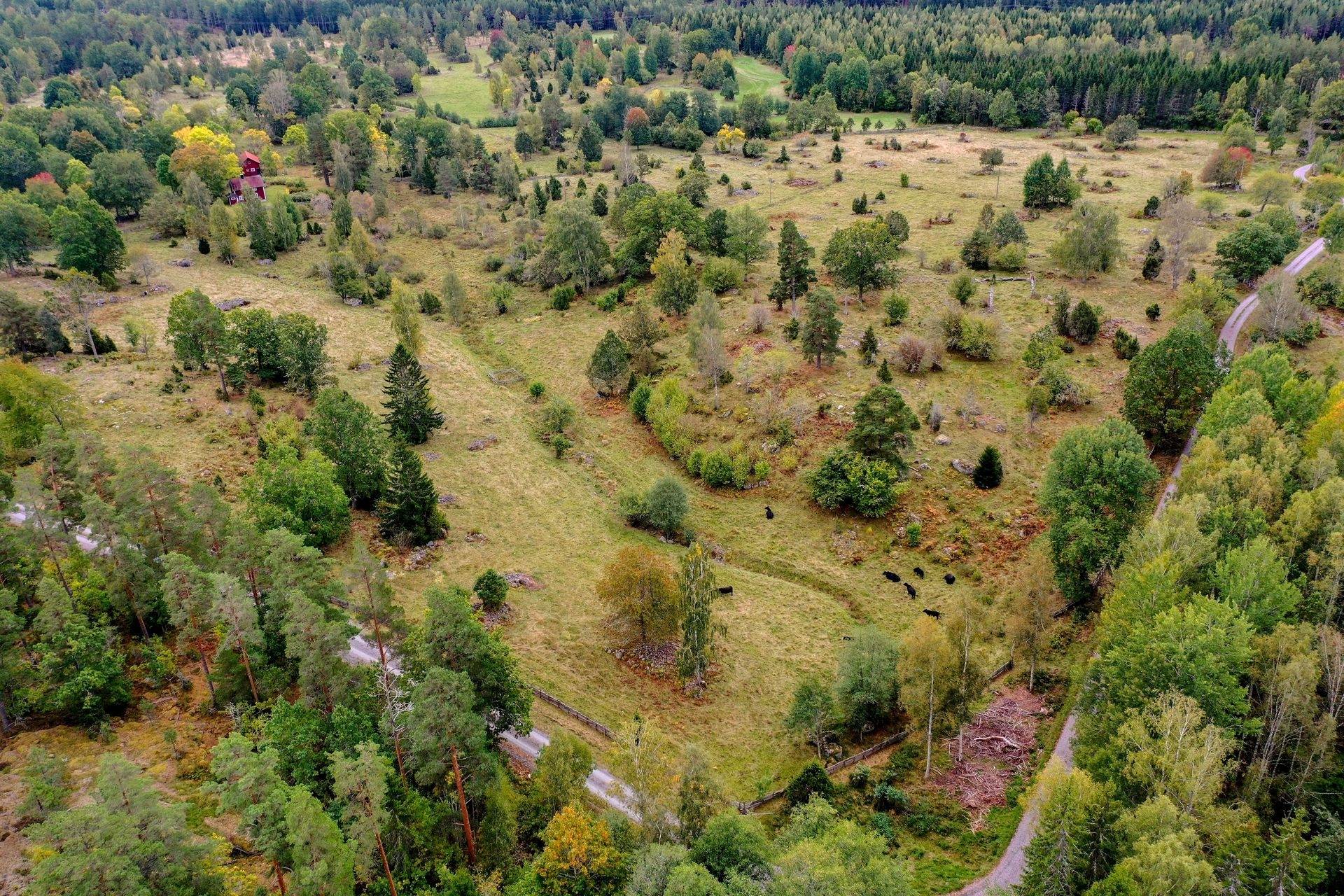 4 rum Gård/skog på Stormandebo Koltorp Västervik/Vimmerby Västerviks kommun - bild 4
