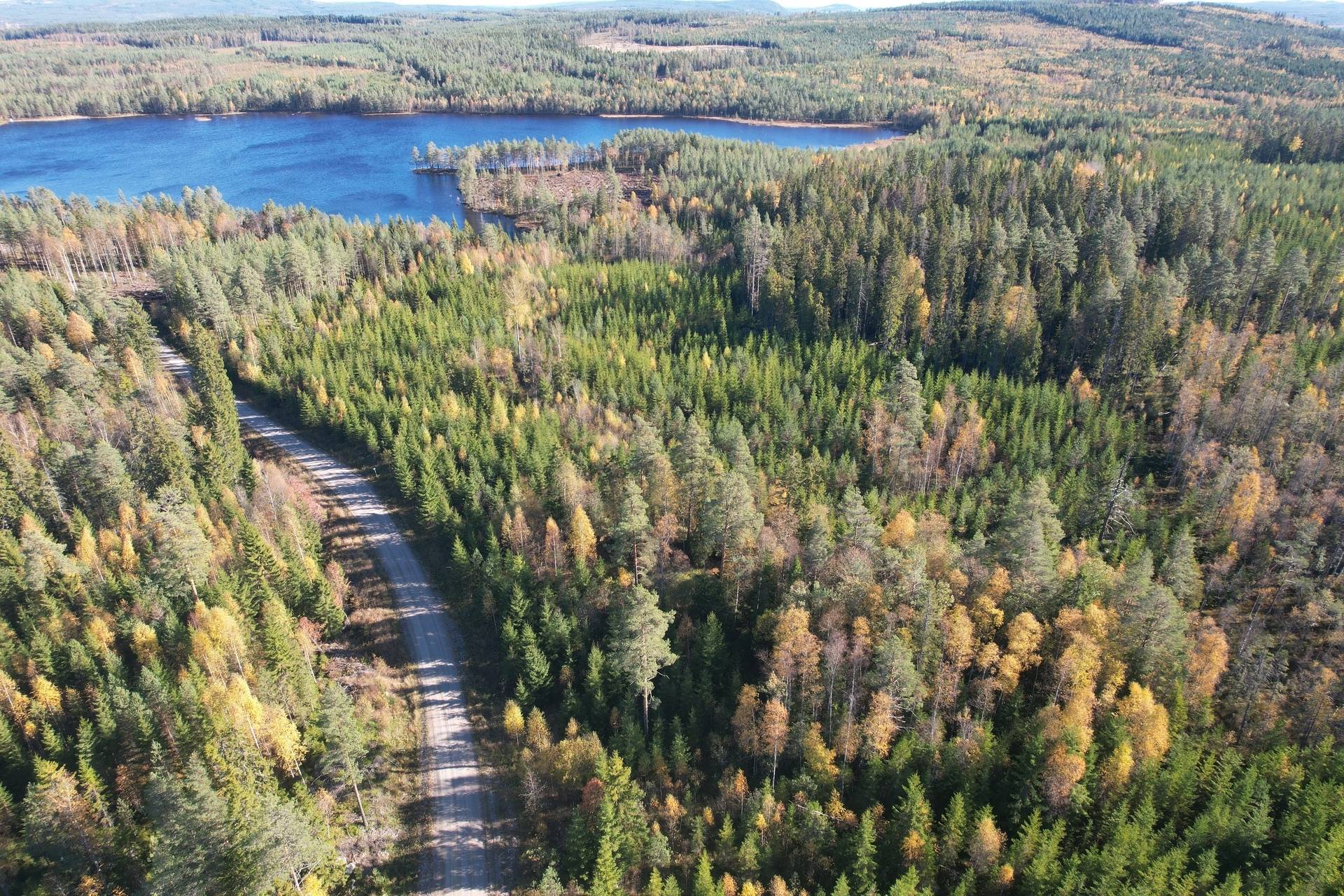 gård med skogsbruk på Tjärna Mockfjärd, Gagnefs kommun - bild 2