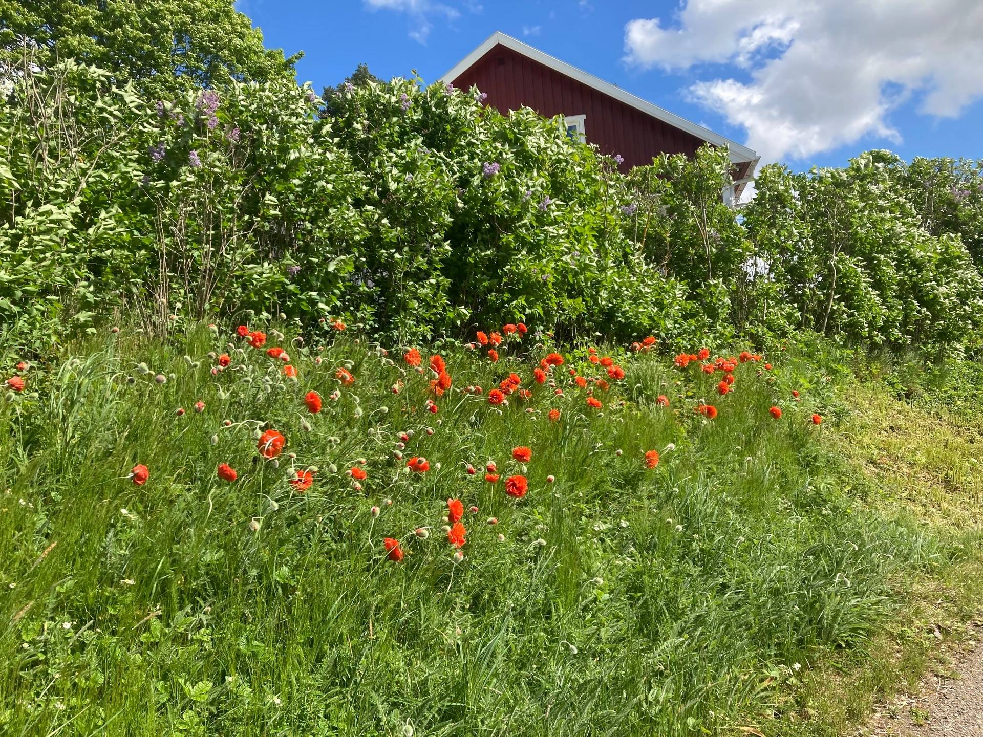 8 rum Villa på Mosstugan 3 Björnlunda Gnesta kommun - bild 54