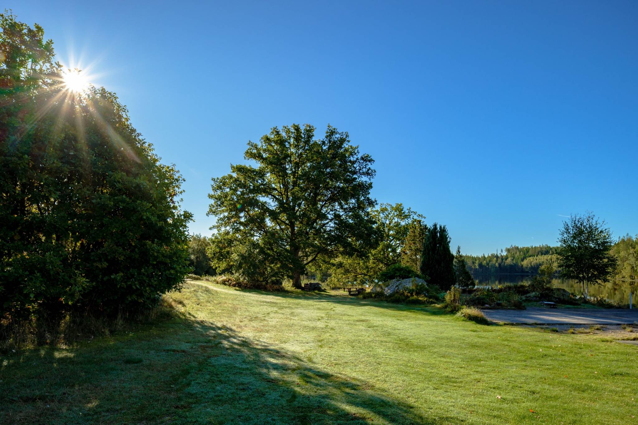 Gård/skog på Åshuvud Björsbo 1 Gnosjö Gnosjö kommun - bild 4