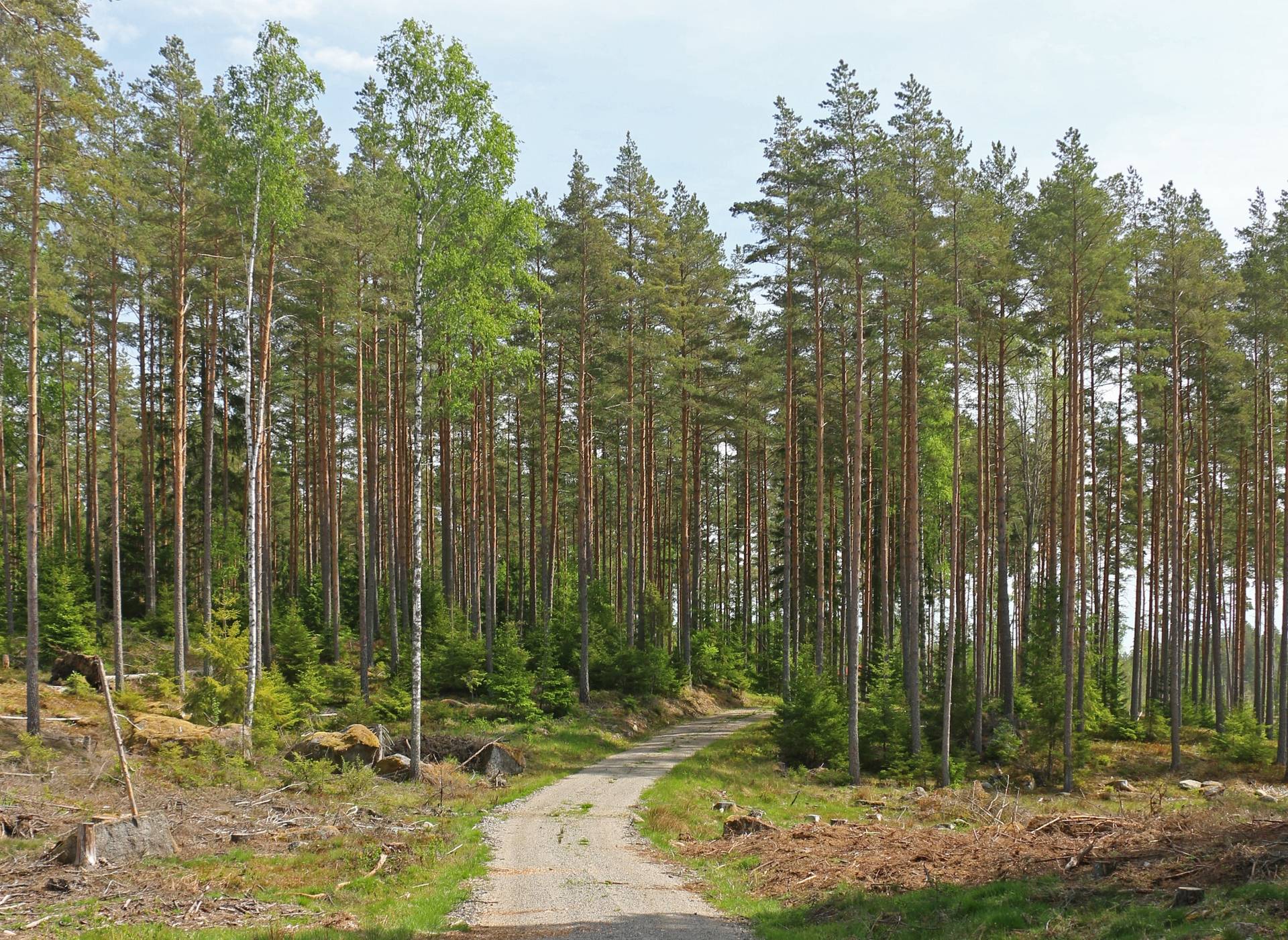 Hällestad, Finspångs kommun
