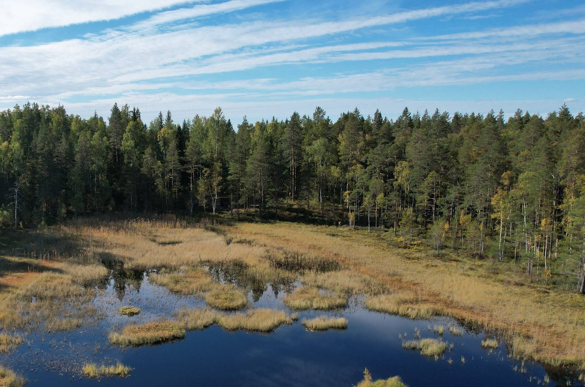 Sandviken, Sandvikens kommun