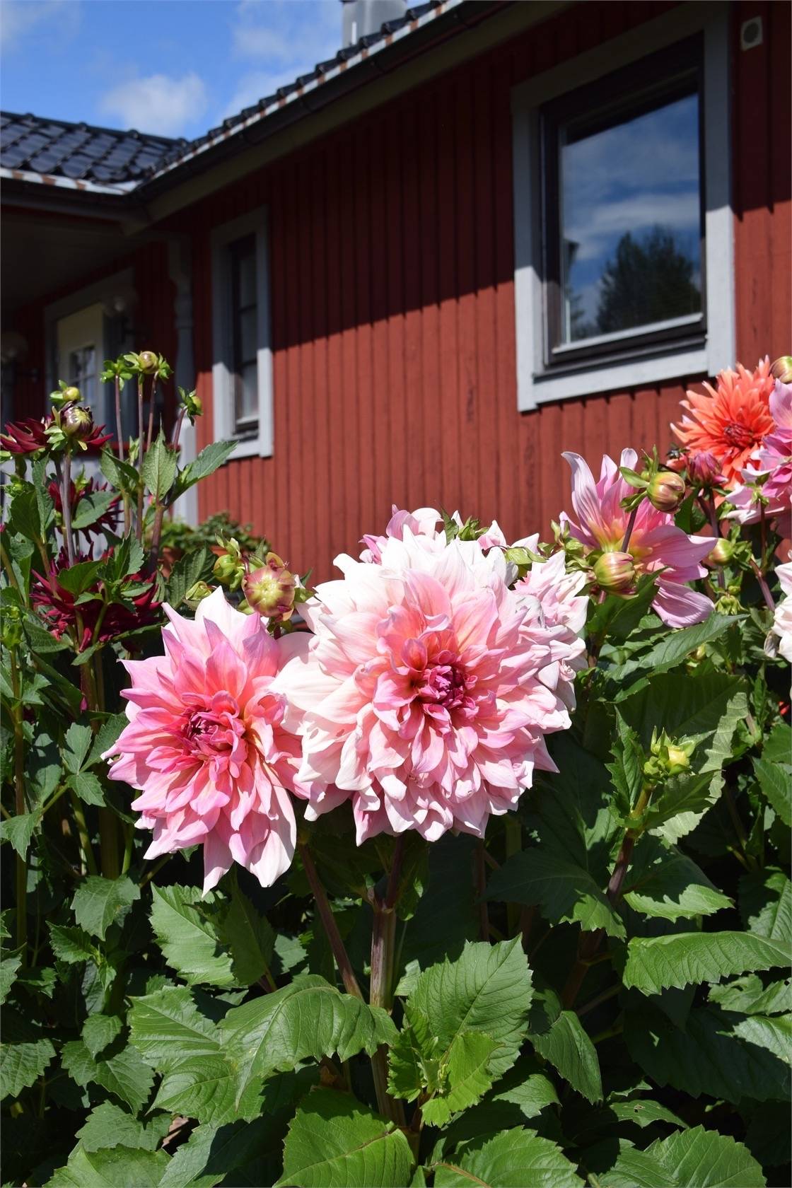 4 rum Villa på Kvarngårdsvägen 4 Dala-järna Vansbro kommun - bild 12