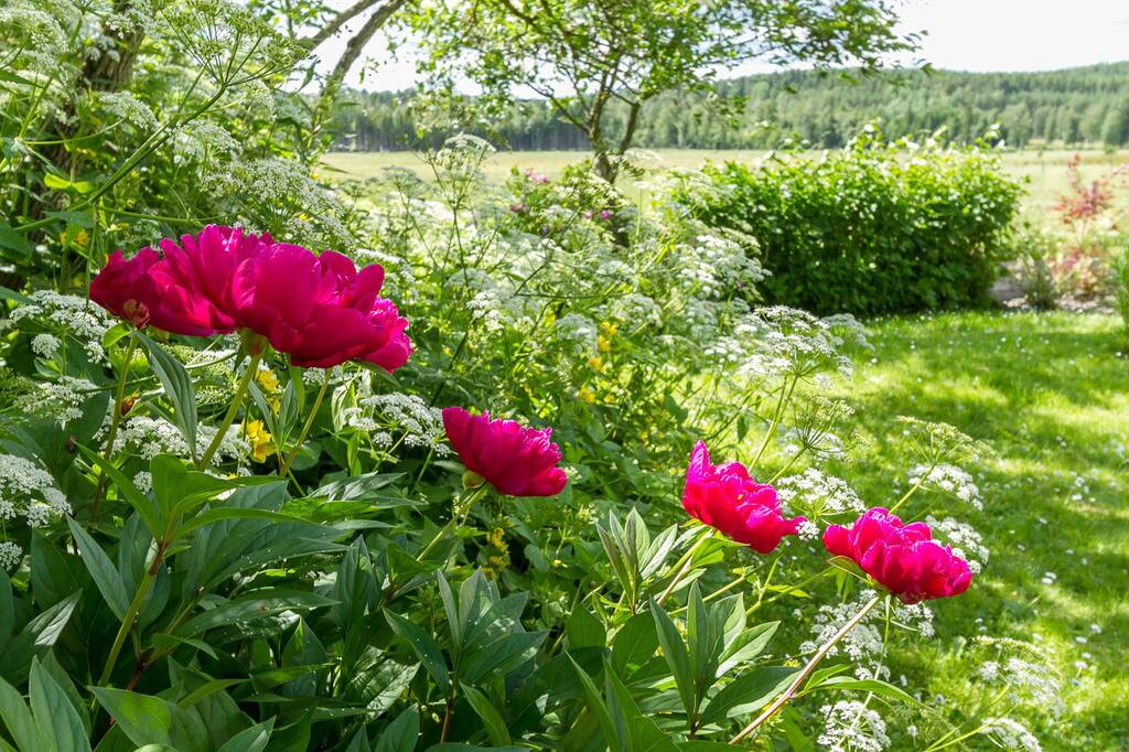 4 rum Villa på Skäverud Mellangården 1 Skäverud mellan Mölltorp och Forsvik Karlsborgs kommun - bild 45