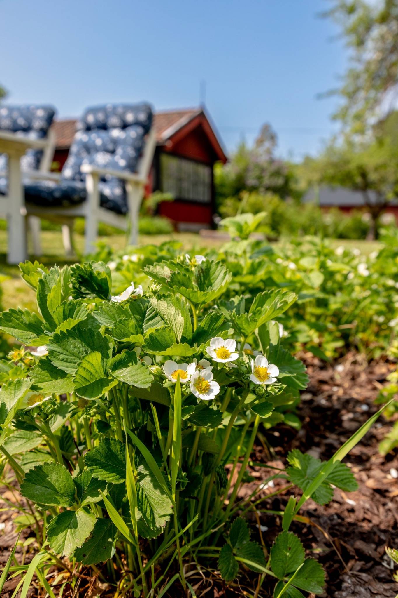 5 rum Villa på Brotorp 119 Ålem Mönsterås kommun - bild 53