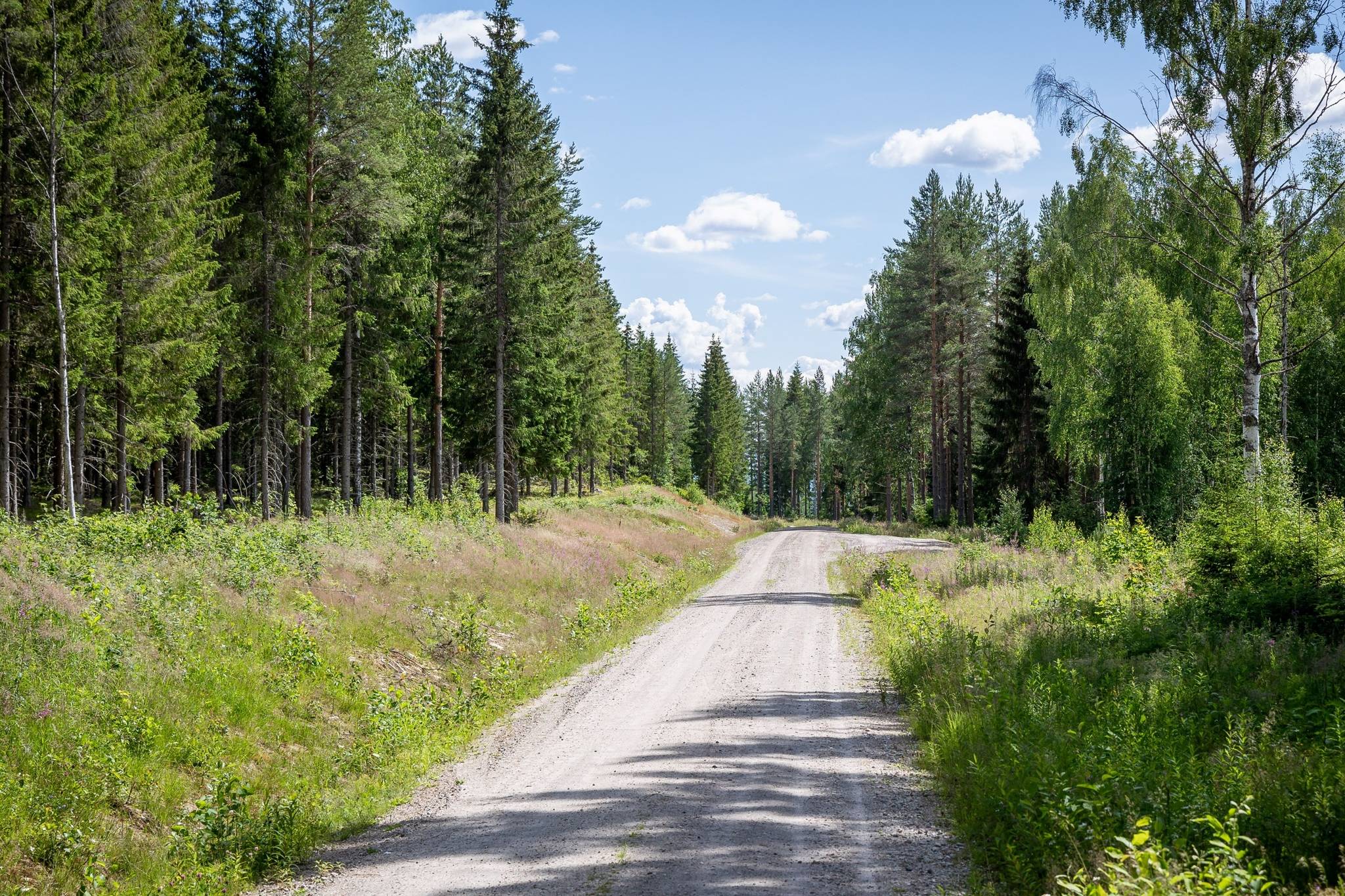 3 rum Fritidshus på Kvarnbergstorp 33 Los Ljusdals kommun - bild 27
