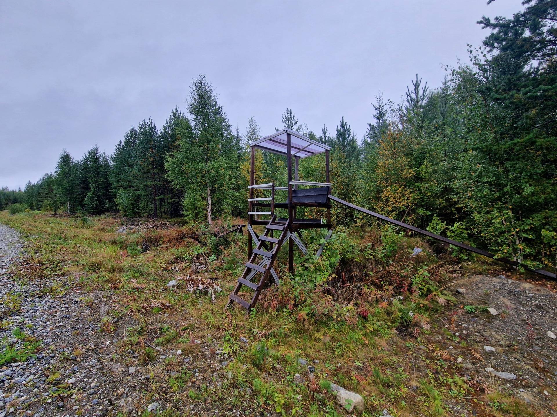 Gård med skogsbruk på RAGUNDA STUGUBYN 3:64 & STUGUNS PRÄSTBORD 1:45 Stugun Ragunda kommun - bild 6