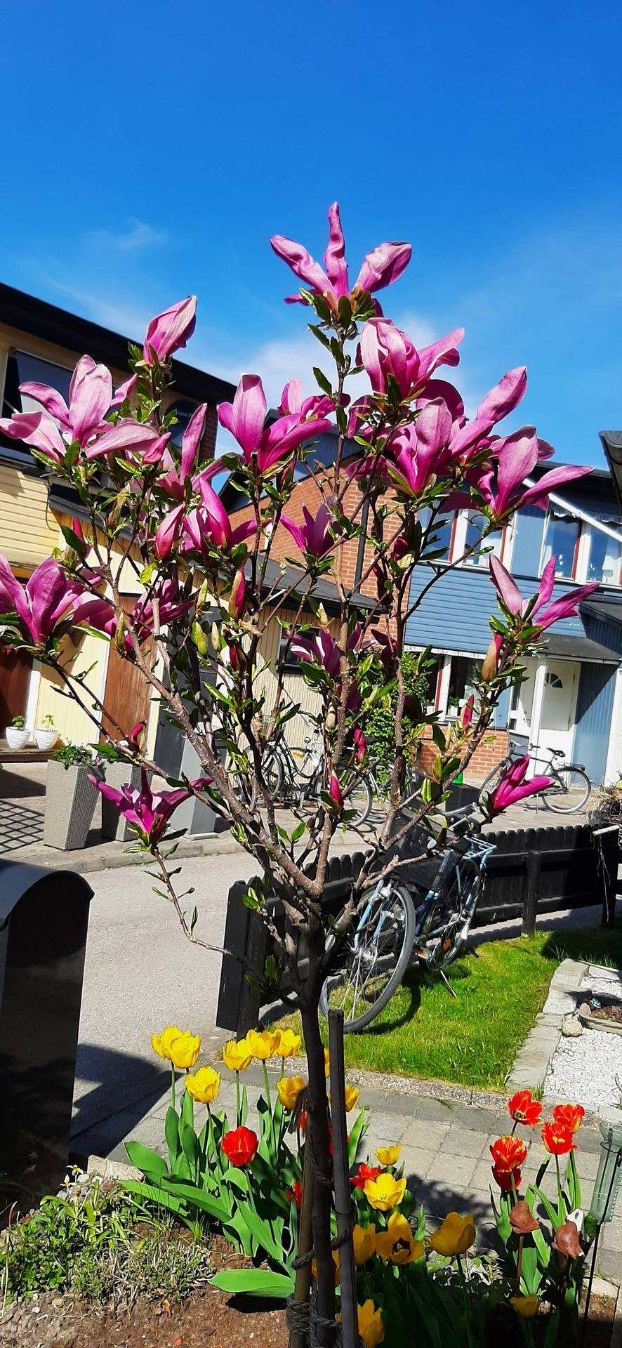 5 rum Radhus på Rektorsstigen 1 Emmylund Sala kommun - bild 33