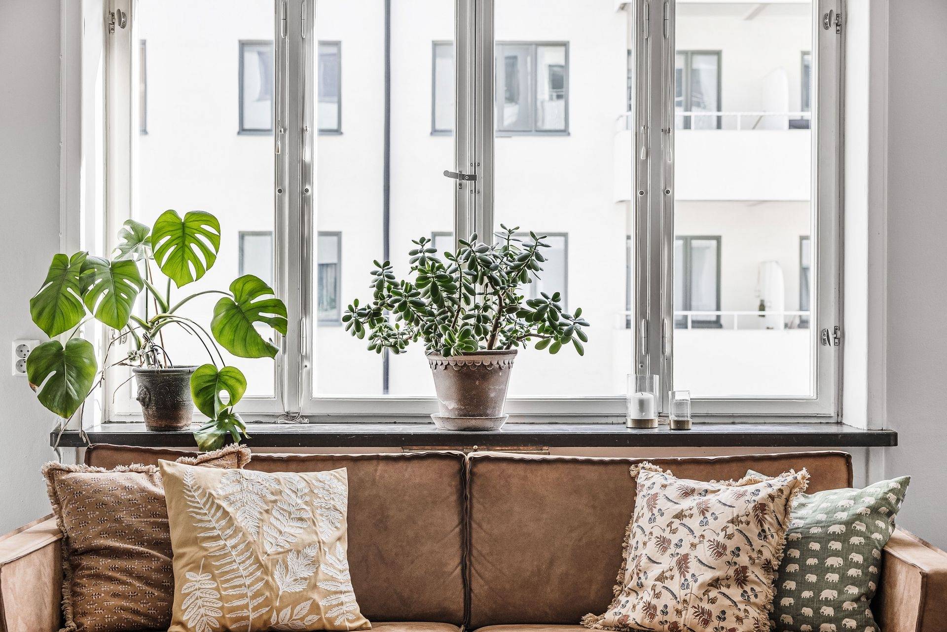 2 rum Lägenhet på Celsiusgatan 8 Kungsholmen Stockholms kommun - bild 5
