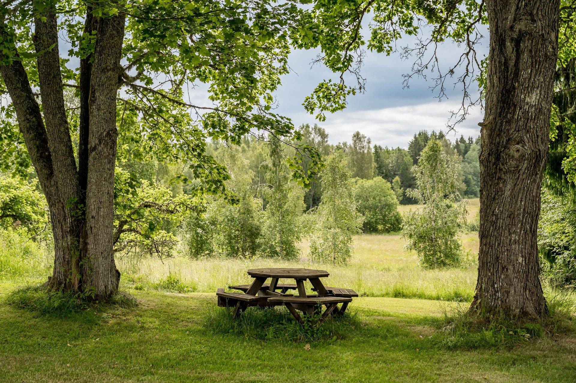 Gård med jordbruk på Älgå-Stubberud Hanserud 1 Arvika Arvika kommun - bild 40