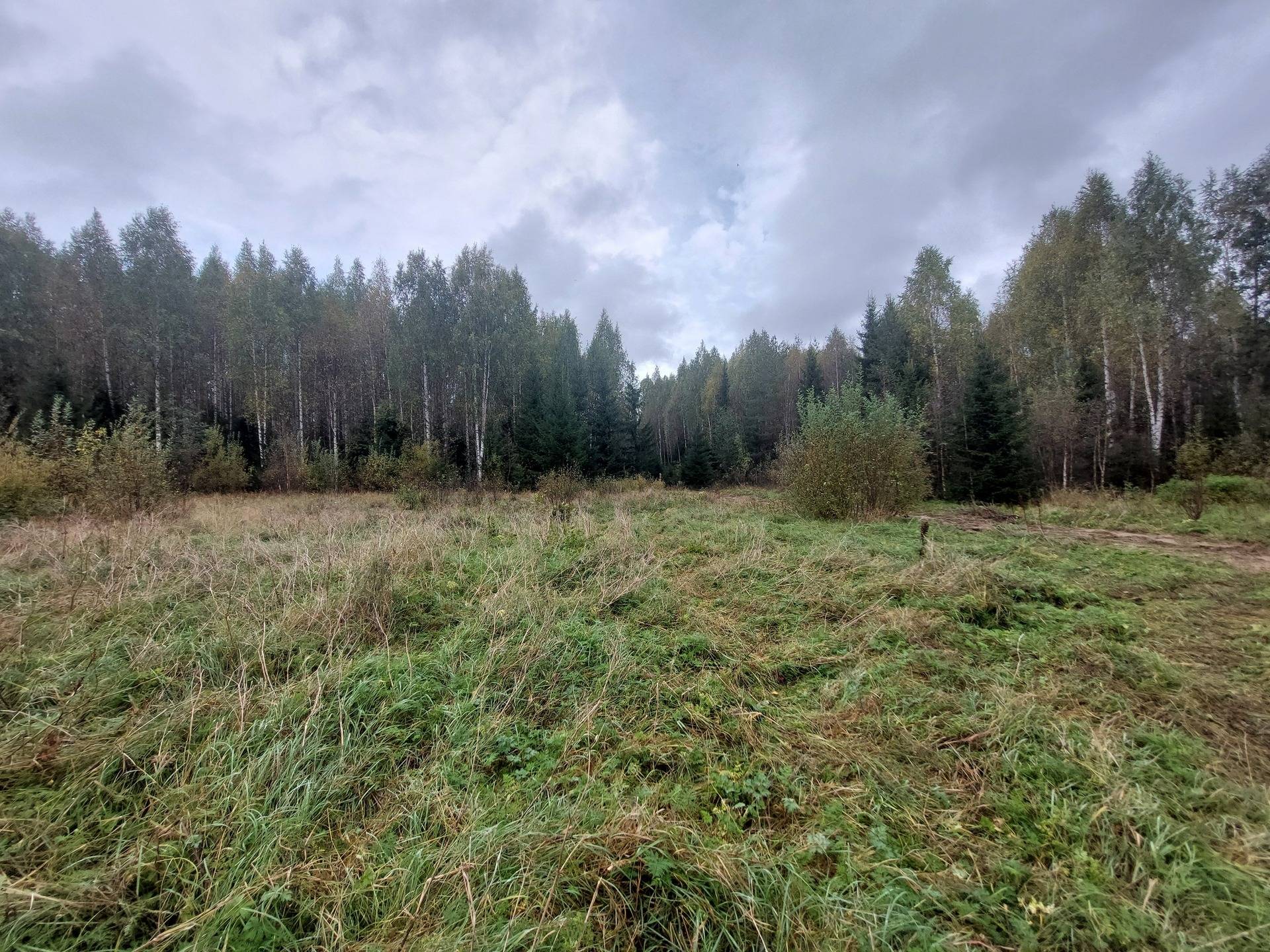 Gård med skogsbruk på BODEN SVARTLÅ 1:99 Svartlå Bodens kommun - bild 19
