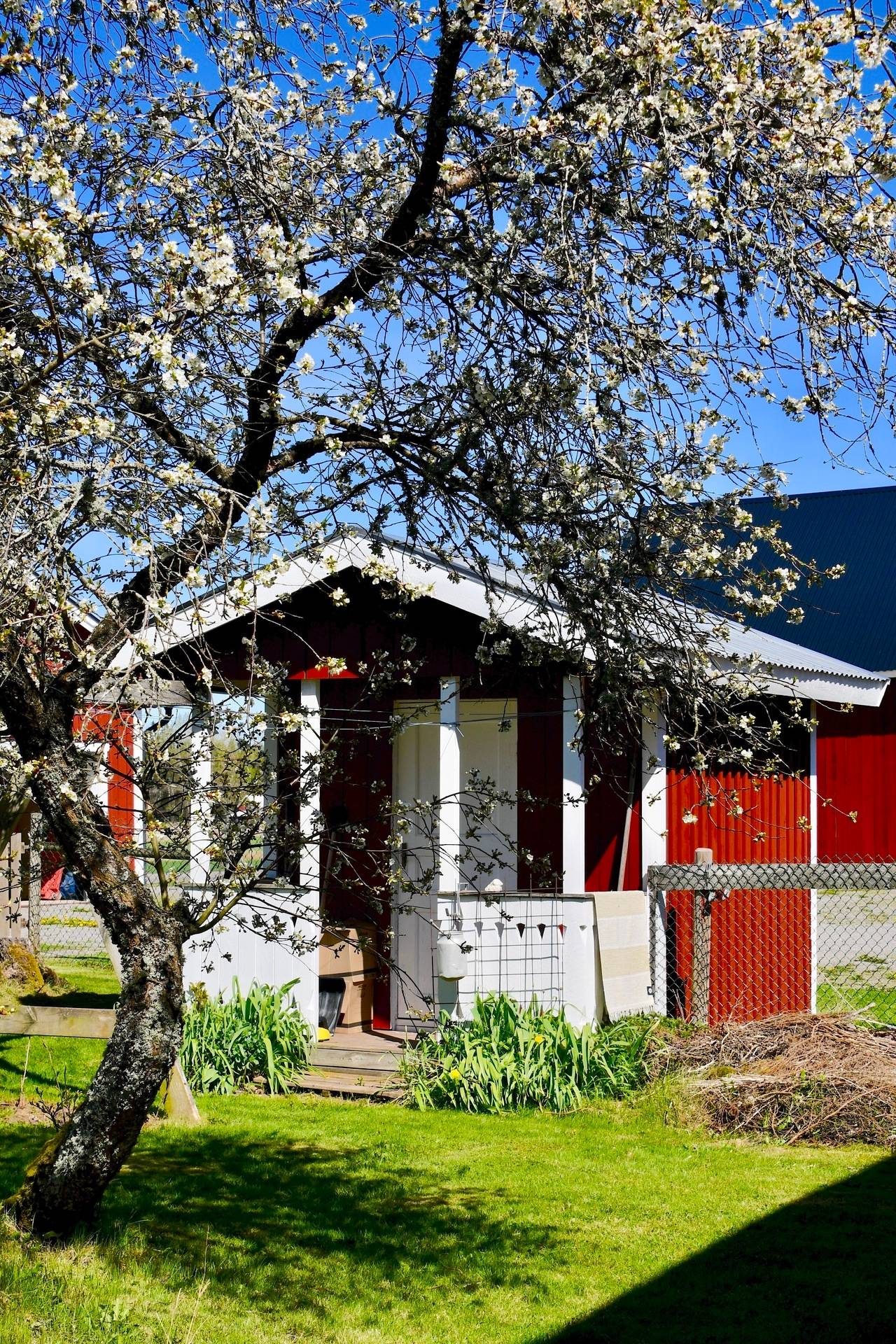 Gård med jordbruk på Varola Gallegården 5B Varola Skövde kommun - bild 22