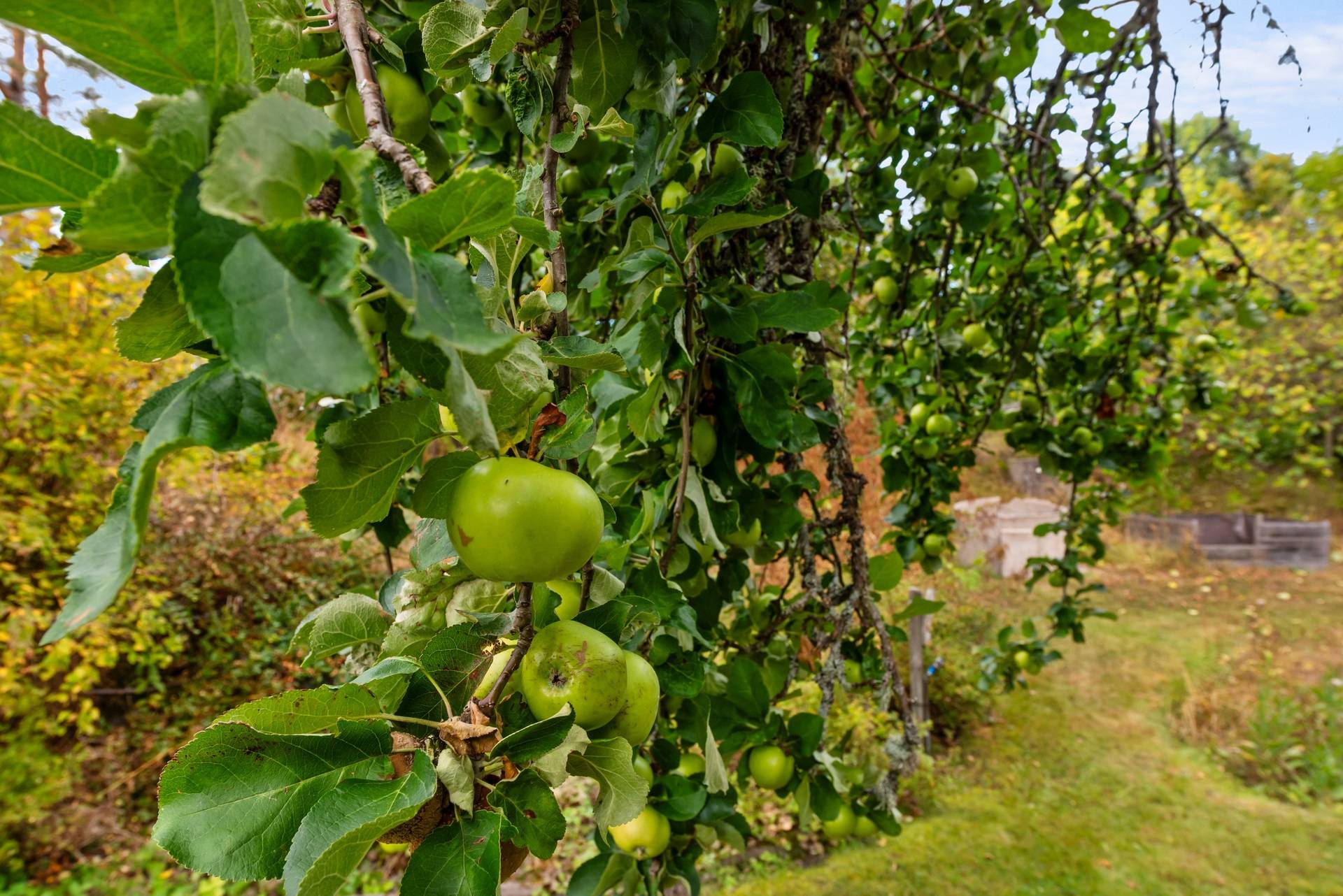 2 rum Villa på Kyrkängen 8 Vätö Norrtälje kommun - bild 23