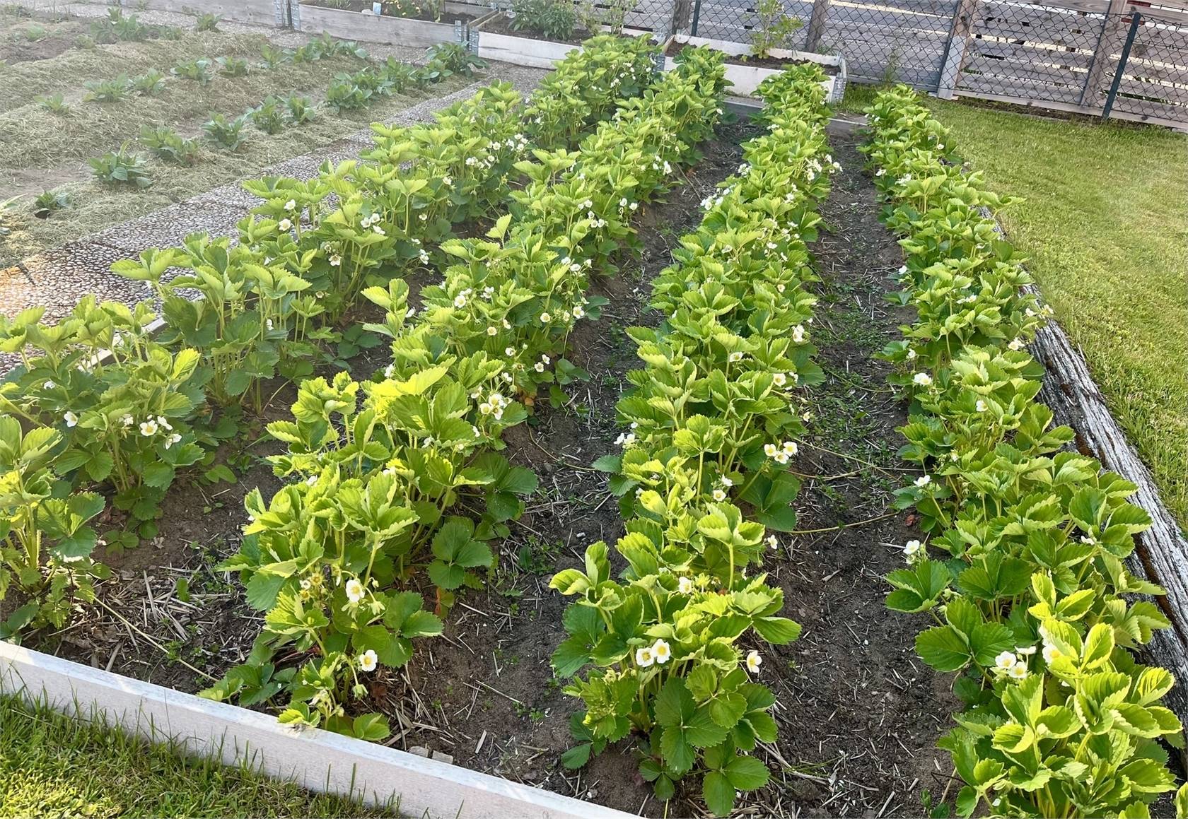 4 rum Villa på Gäre Björkåsen 1 Gäre Tibro kommun - bild 38