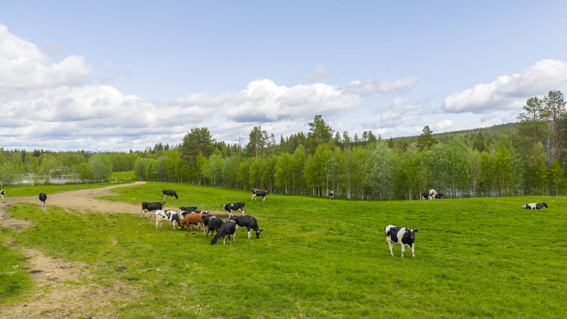 Gård med jordbruk på Sandsjö 111 Blattnicksele Sorsele kommun - bild 3