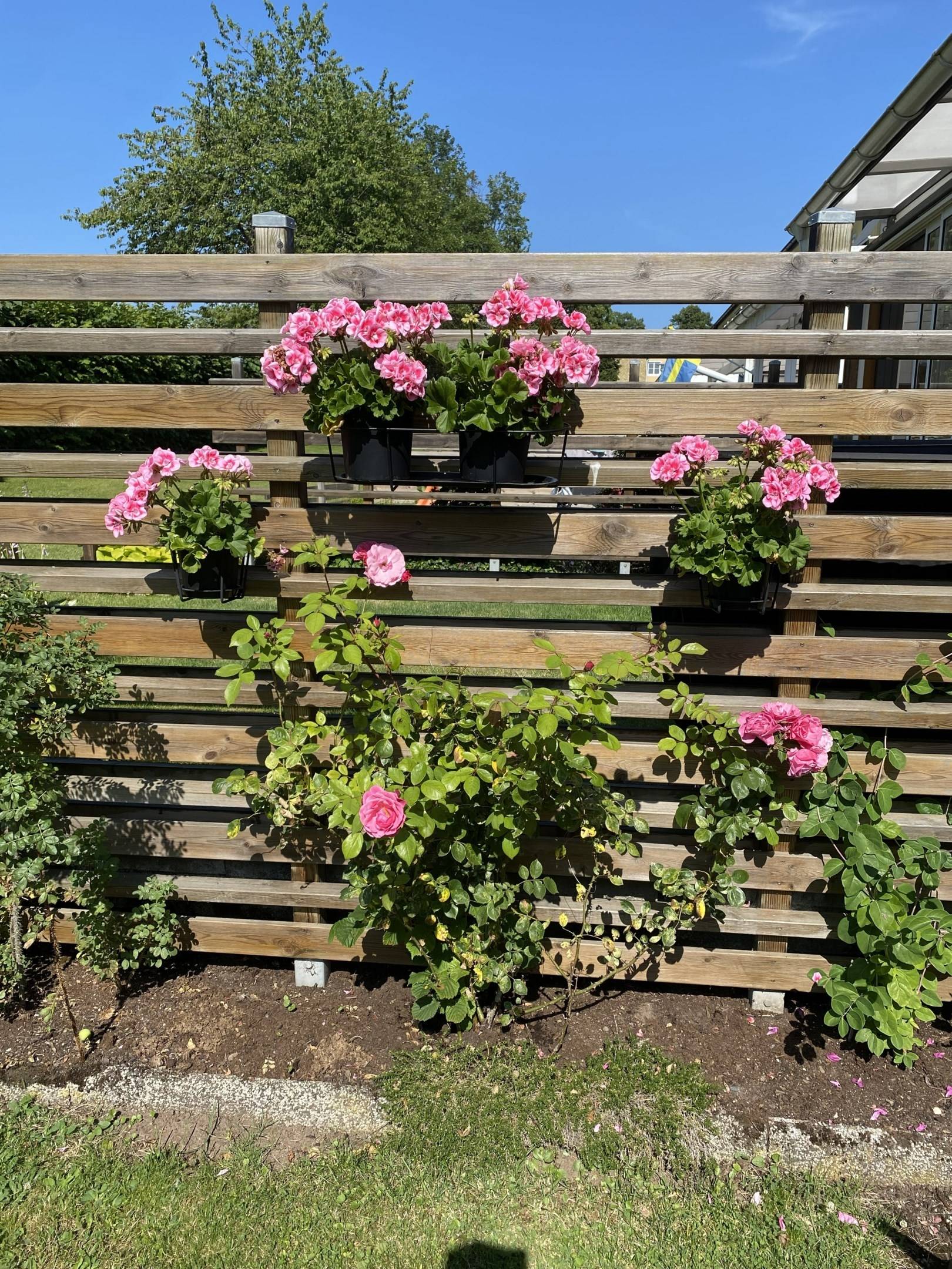 4 rum Radhus på Nolboplan 4 Skultorp Skövde kommun - bild 22