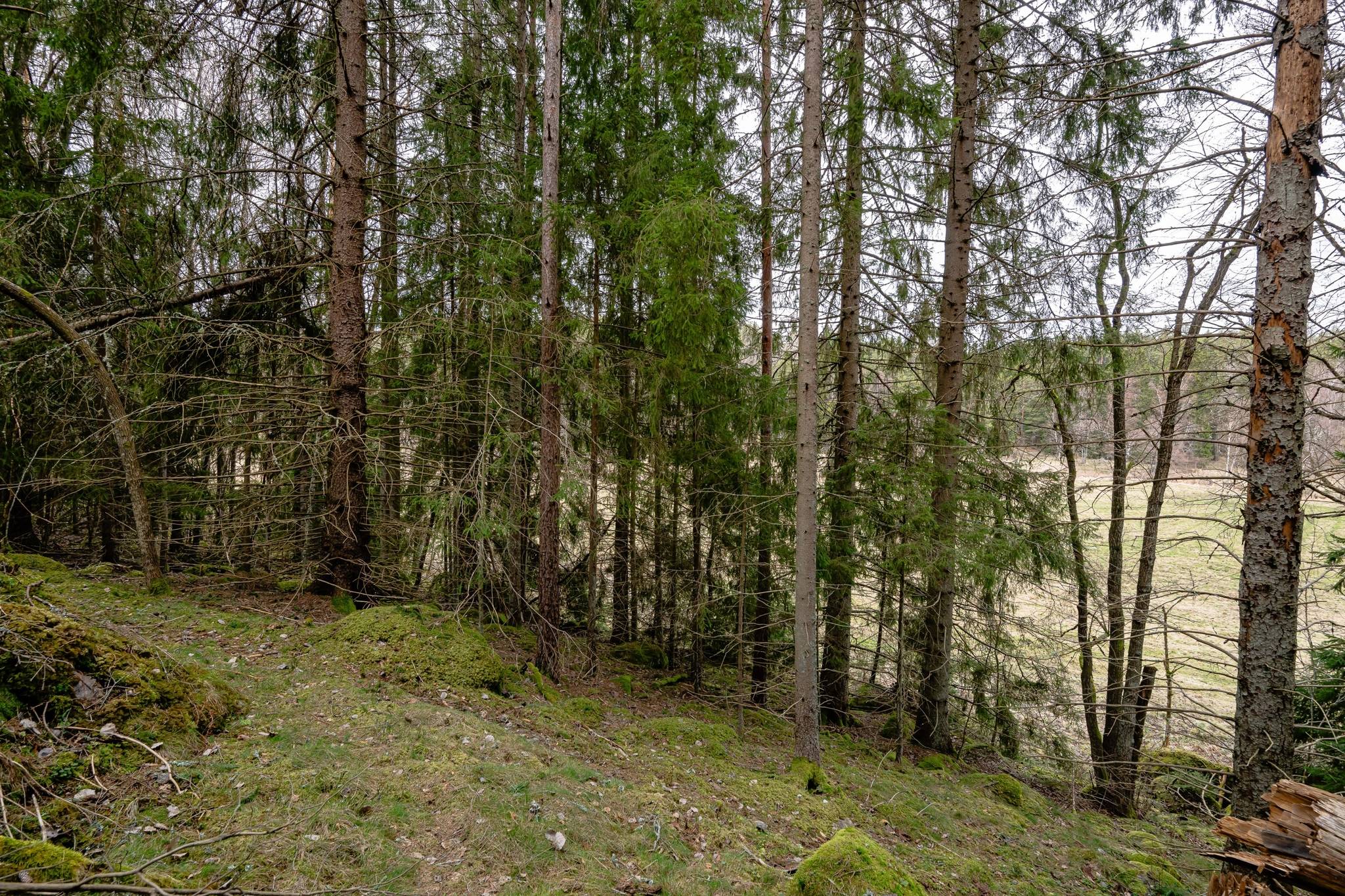 Tomt på Gnesta, Lantligt Gnesta kommun - bild 7