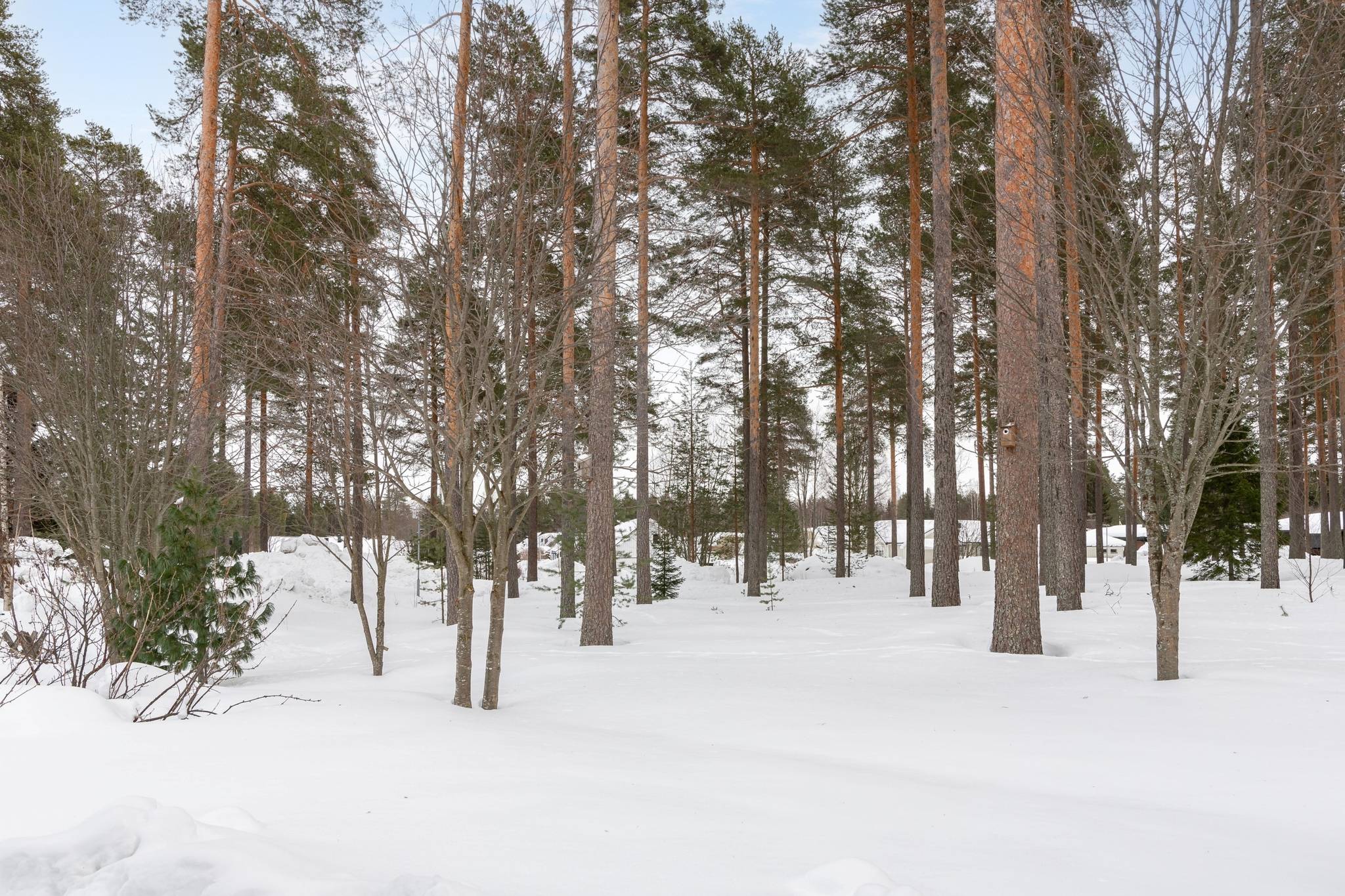 5 rum Villa på Rådmansvägen 33 Gammelstad Luleå kommun - bild 13